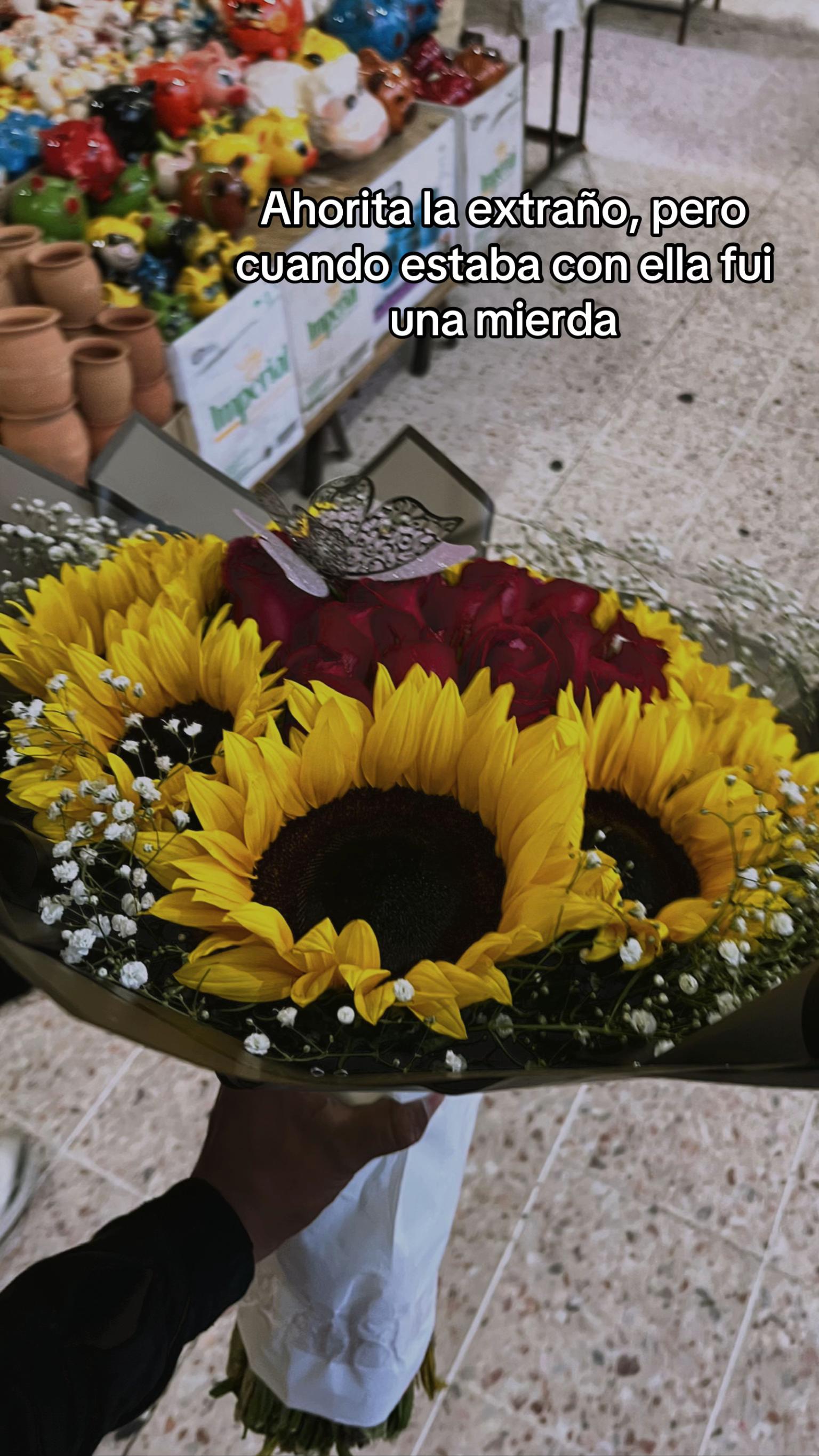 @useed1xg_7