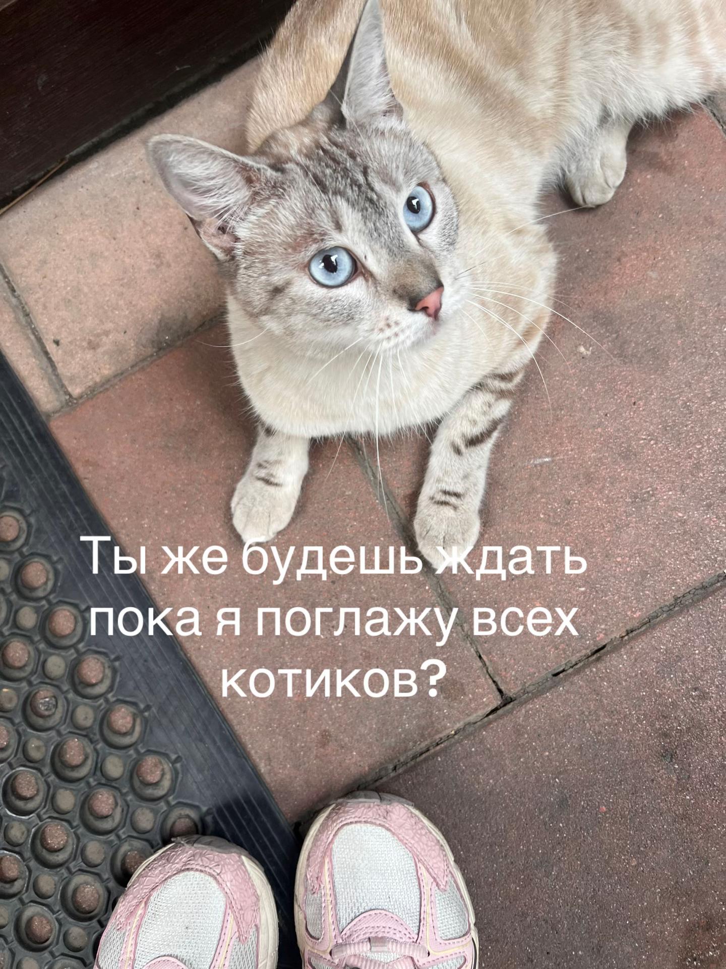 @Бу🪽
