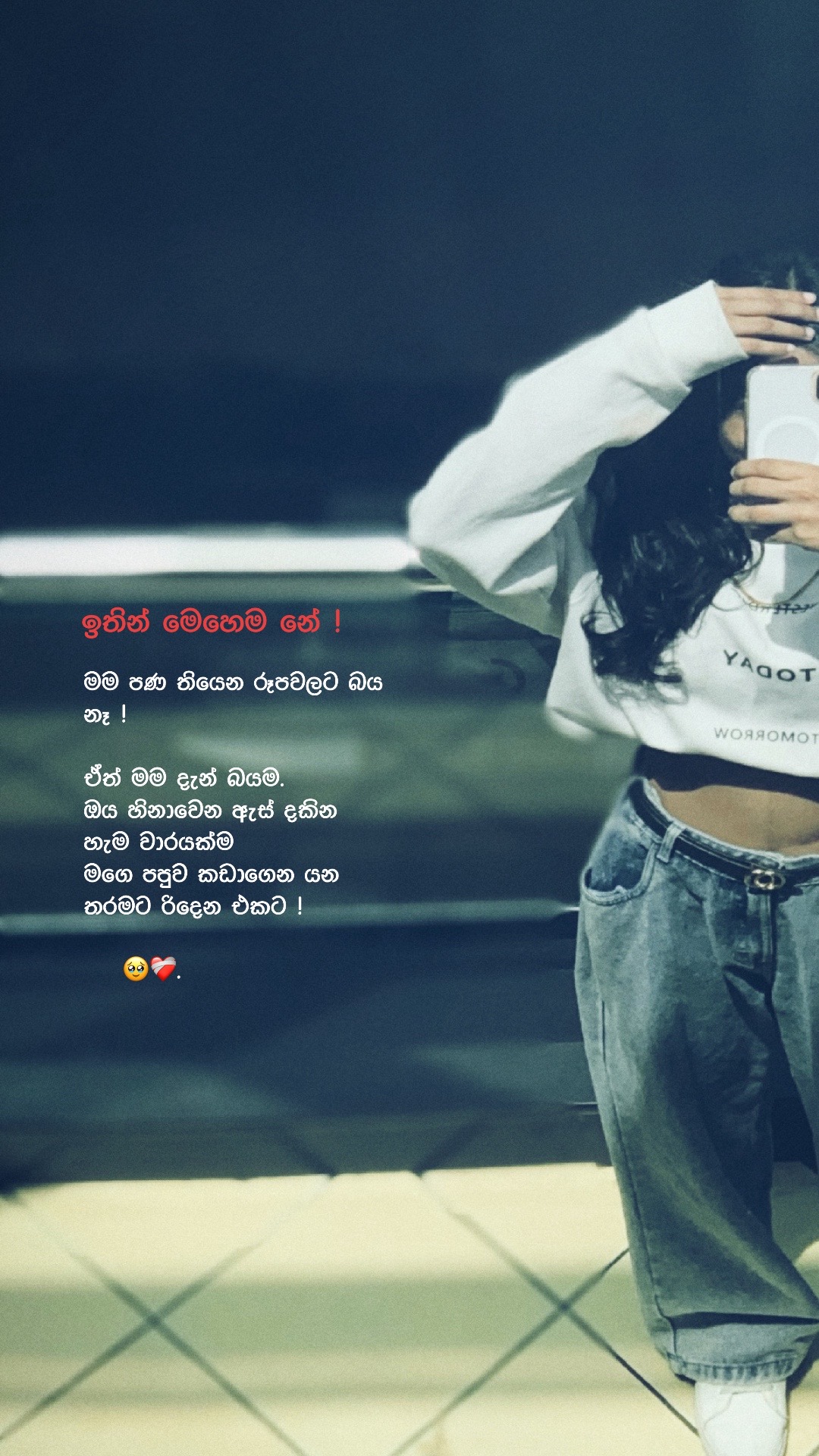 @Shy 📮.