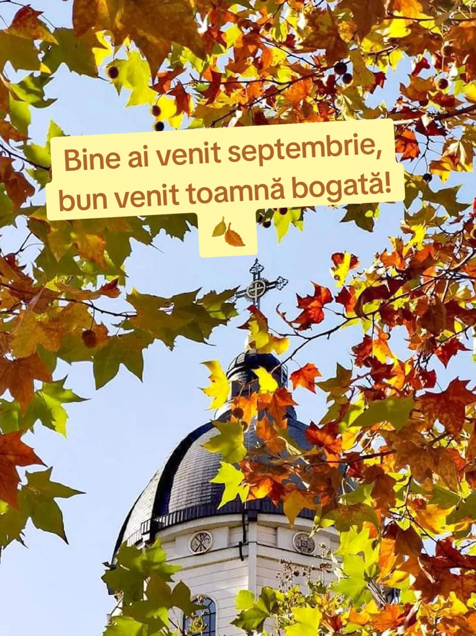 @Florica Lăcrimioara ❤️Aurel ♥️