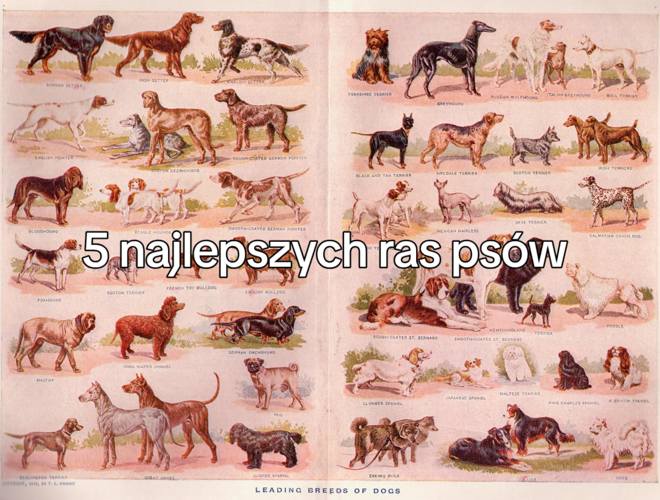 @Sylwia