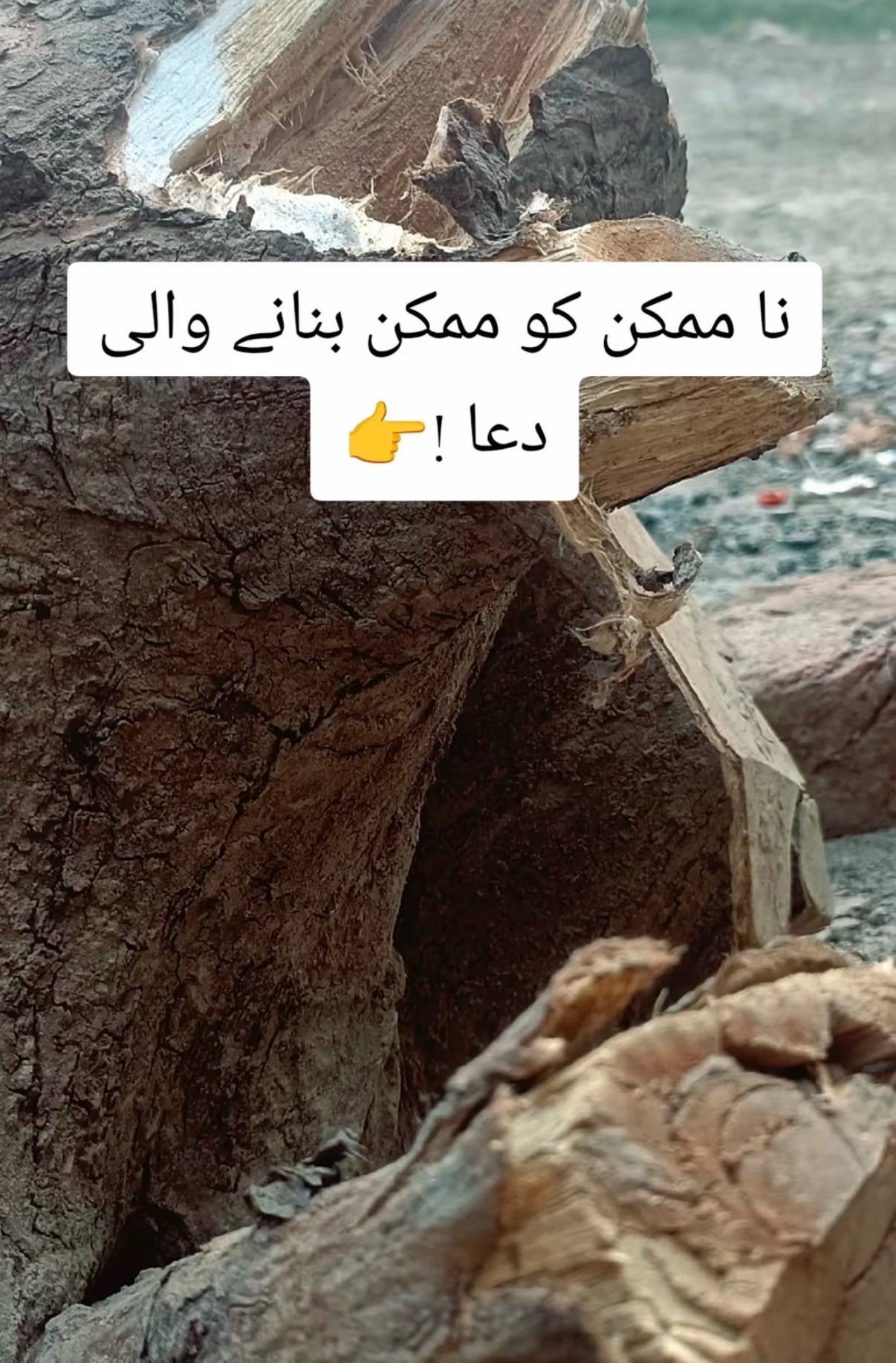 @UK khan 💕