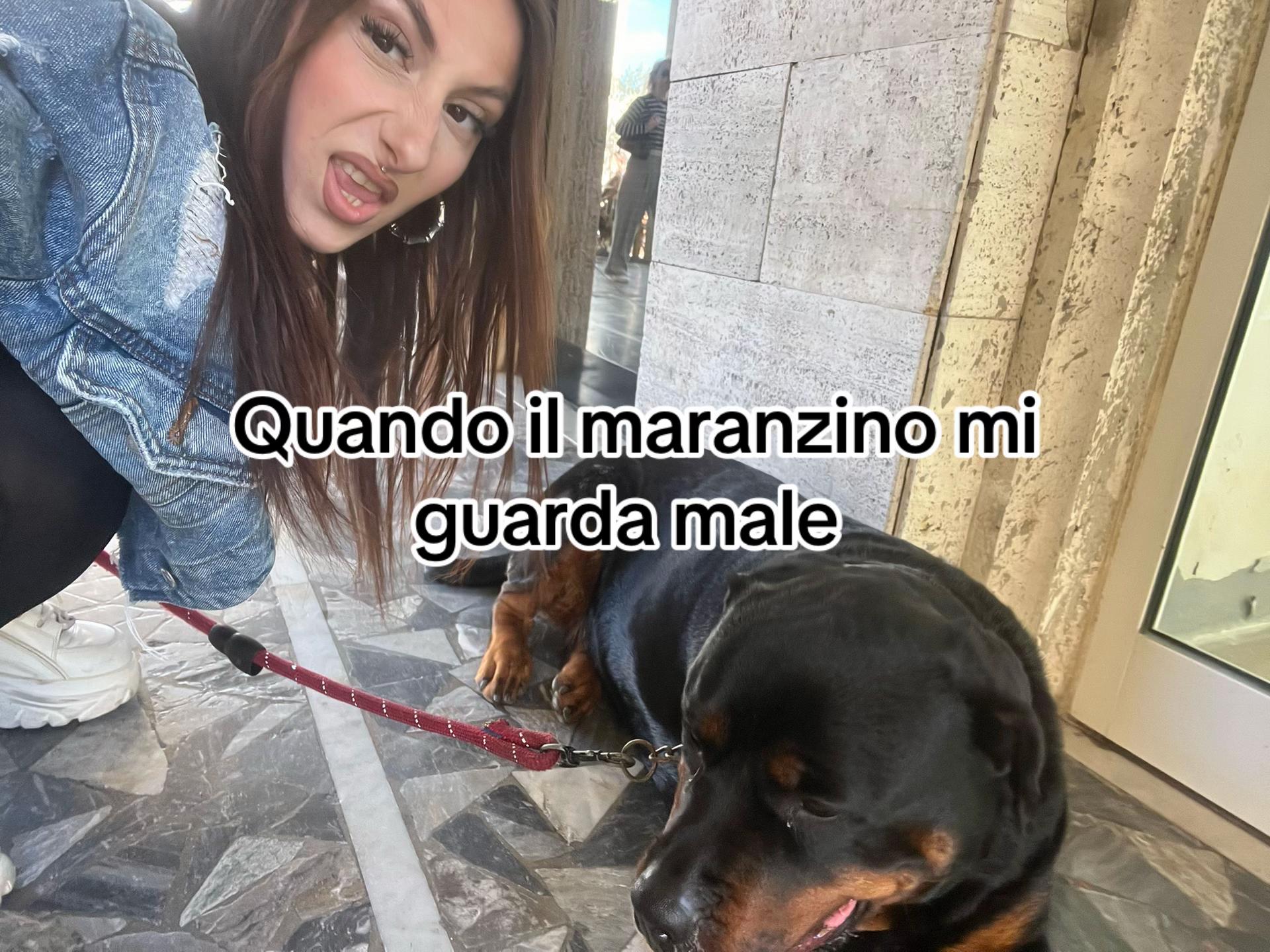 @gretacastellinj