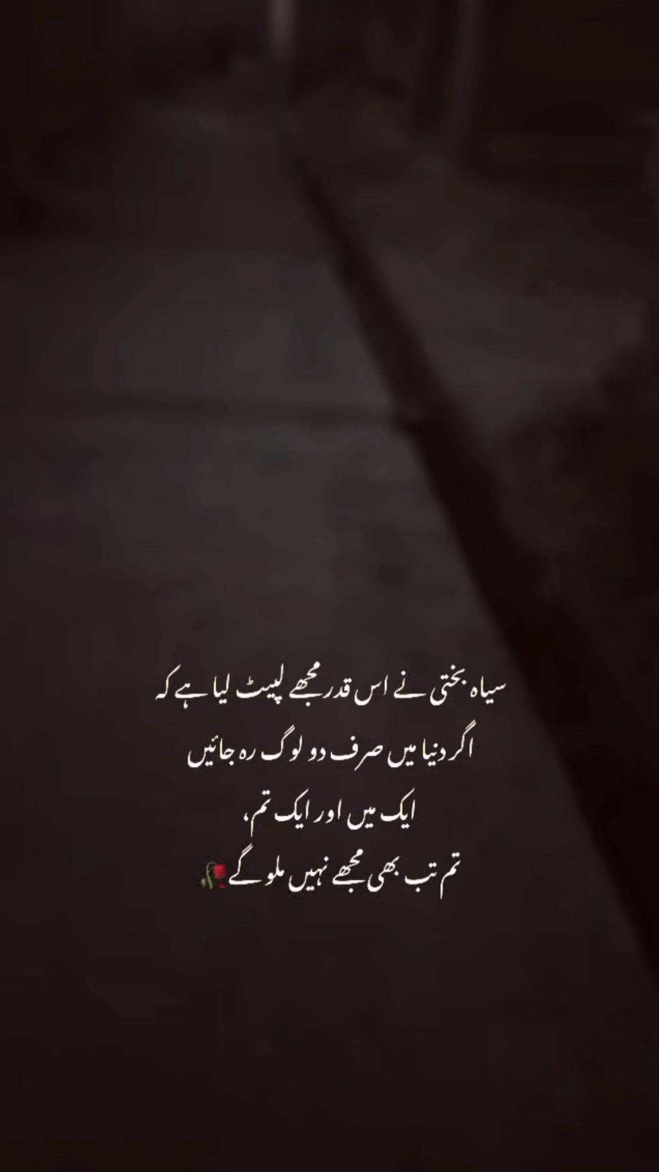 @عمارہ چیمہ🦢