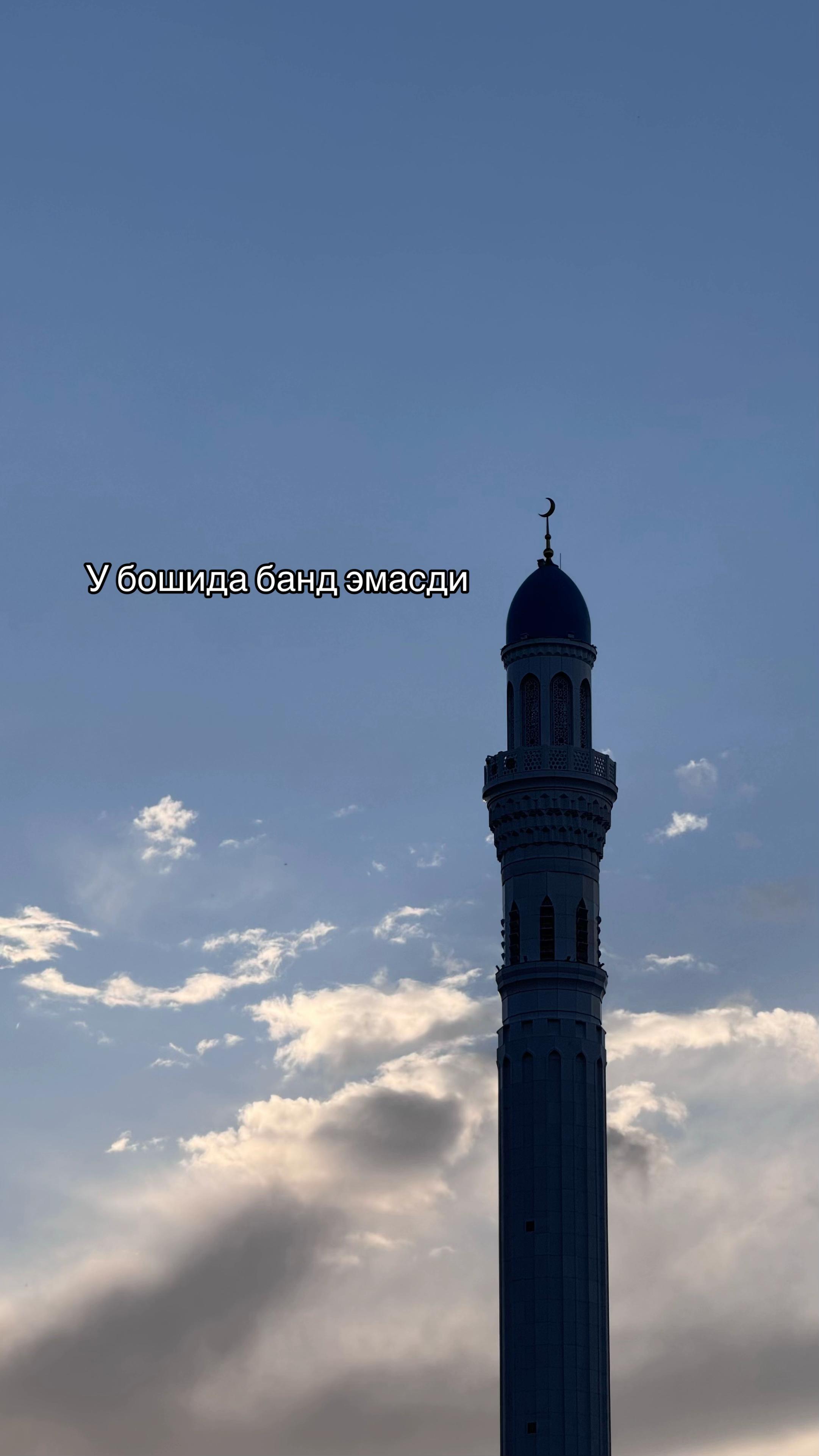@Февраллик🩵