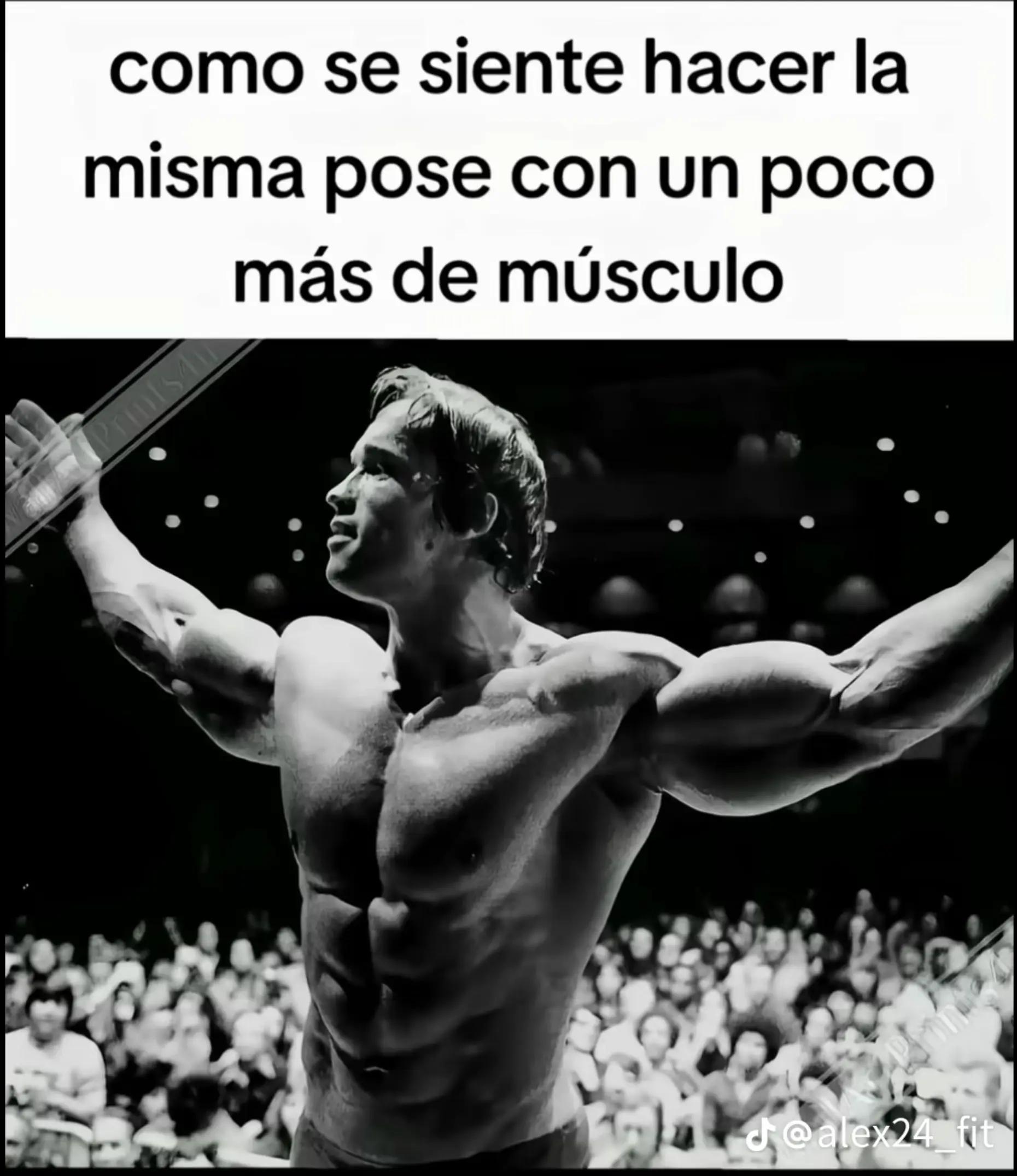 @elprofe