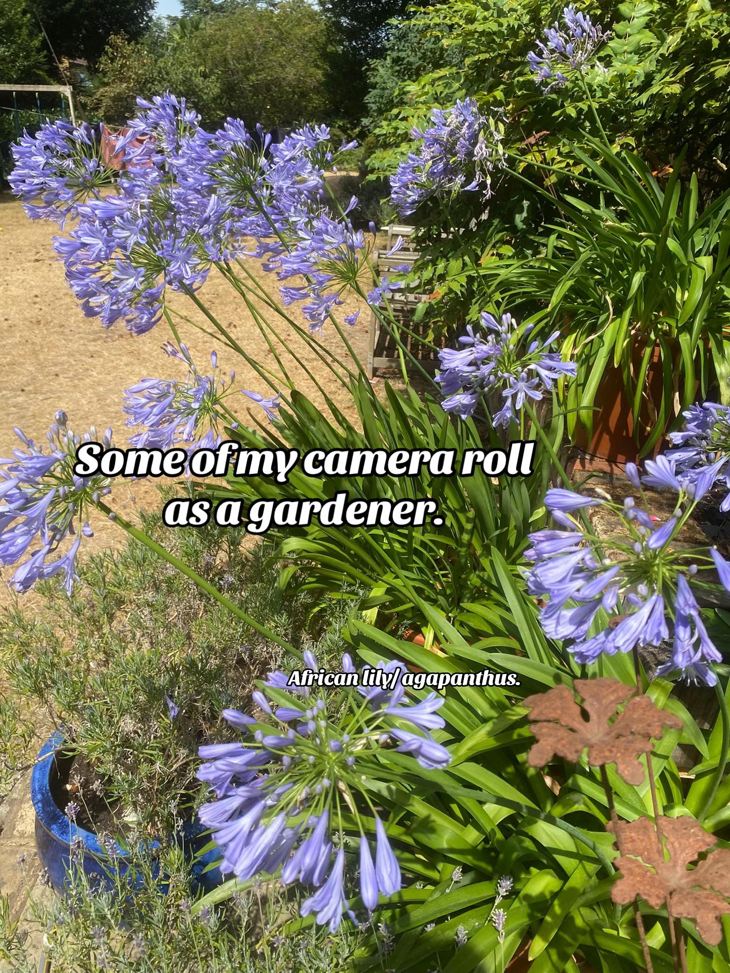 @carterslandscapes