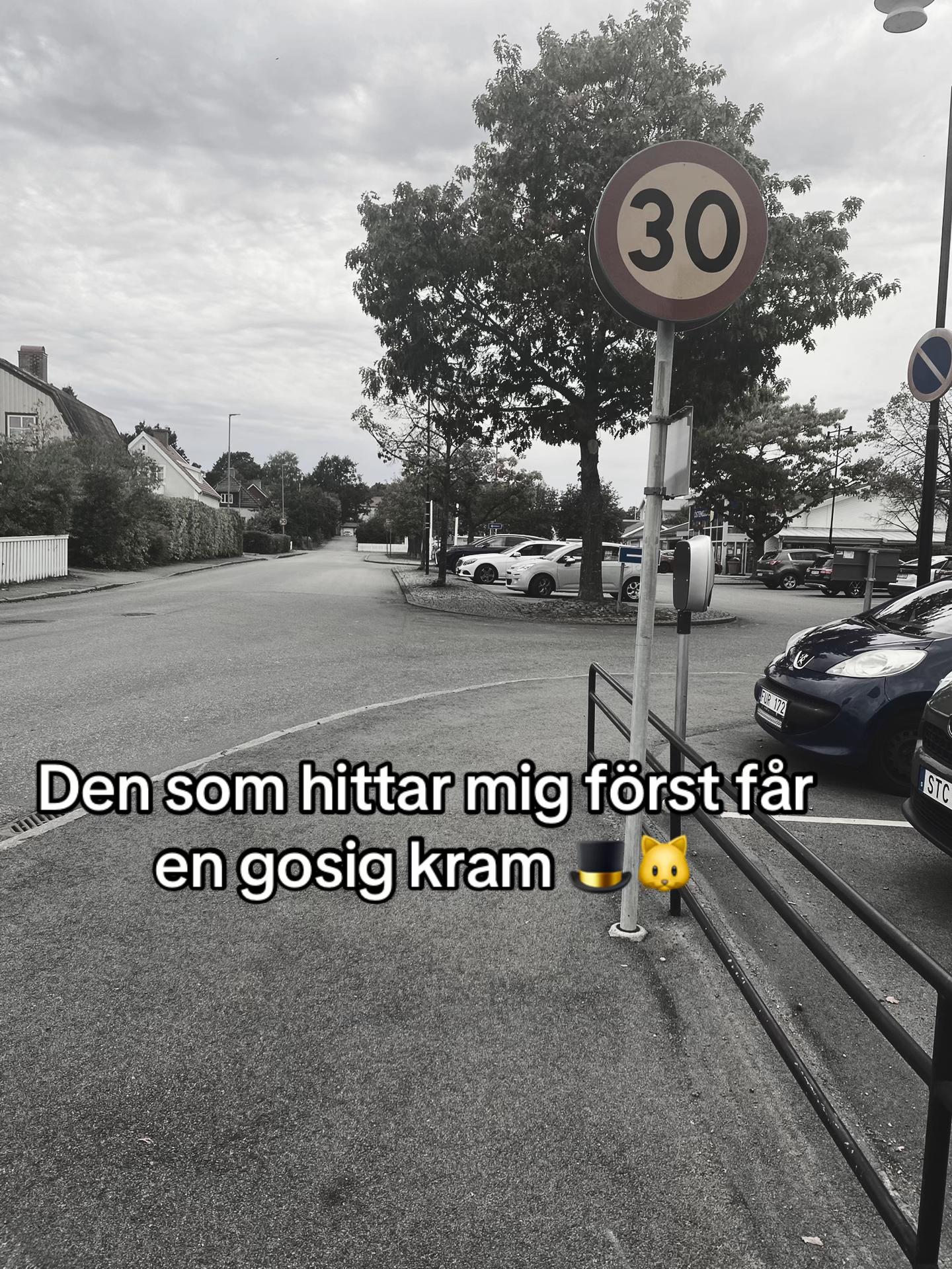 @Kattenihatten(motala)