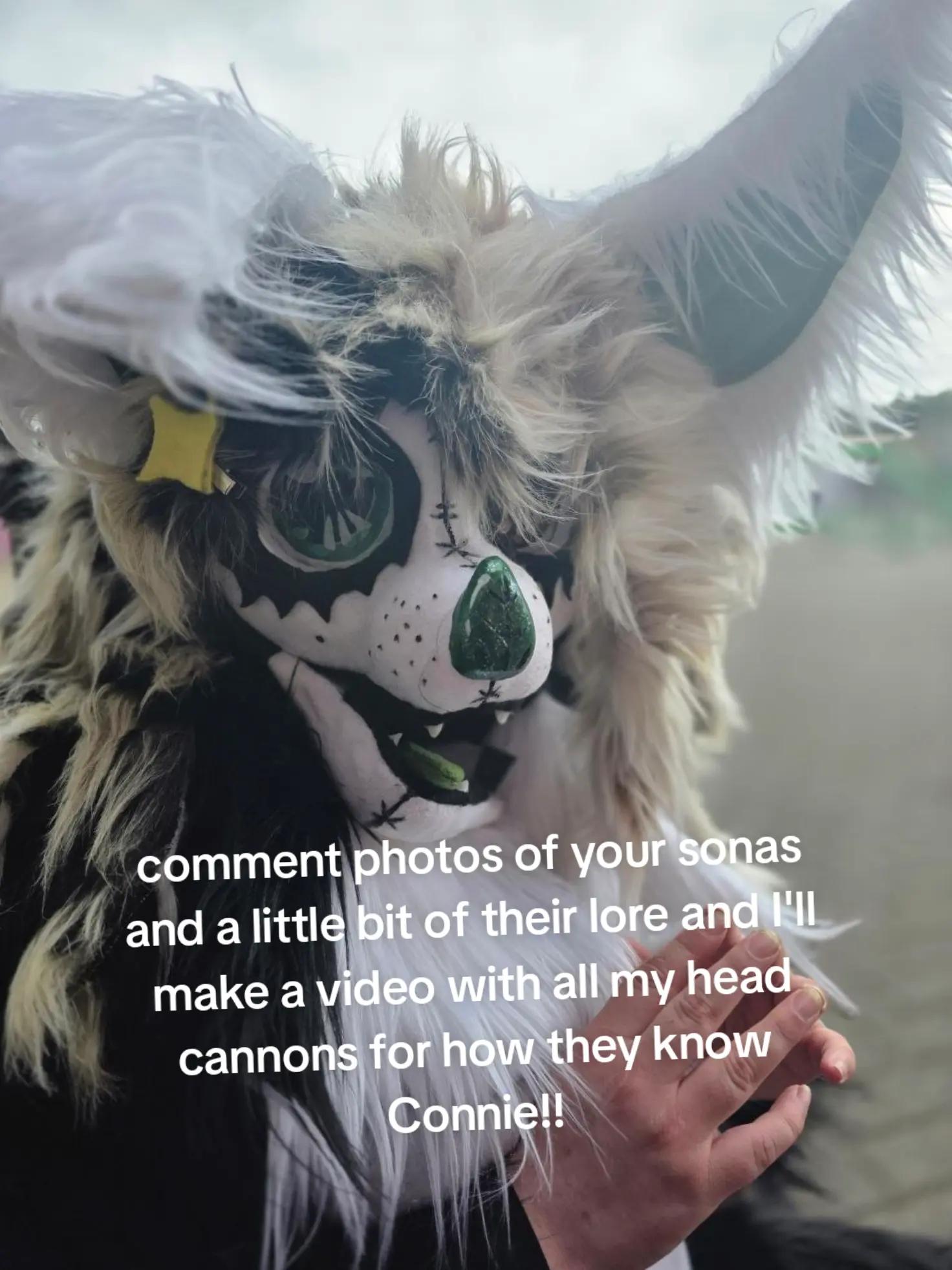 @connie