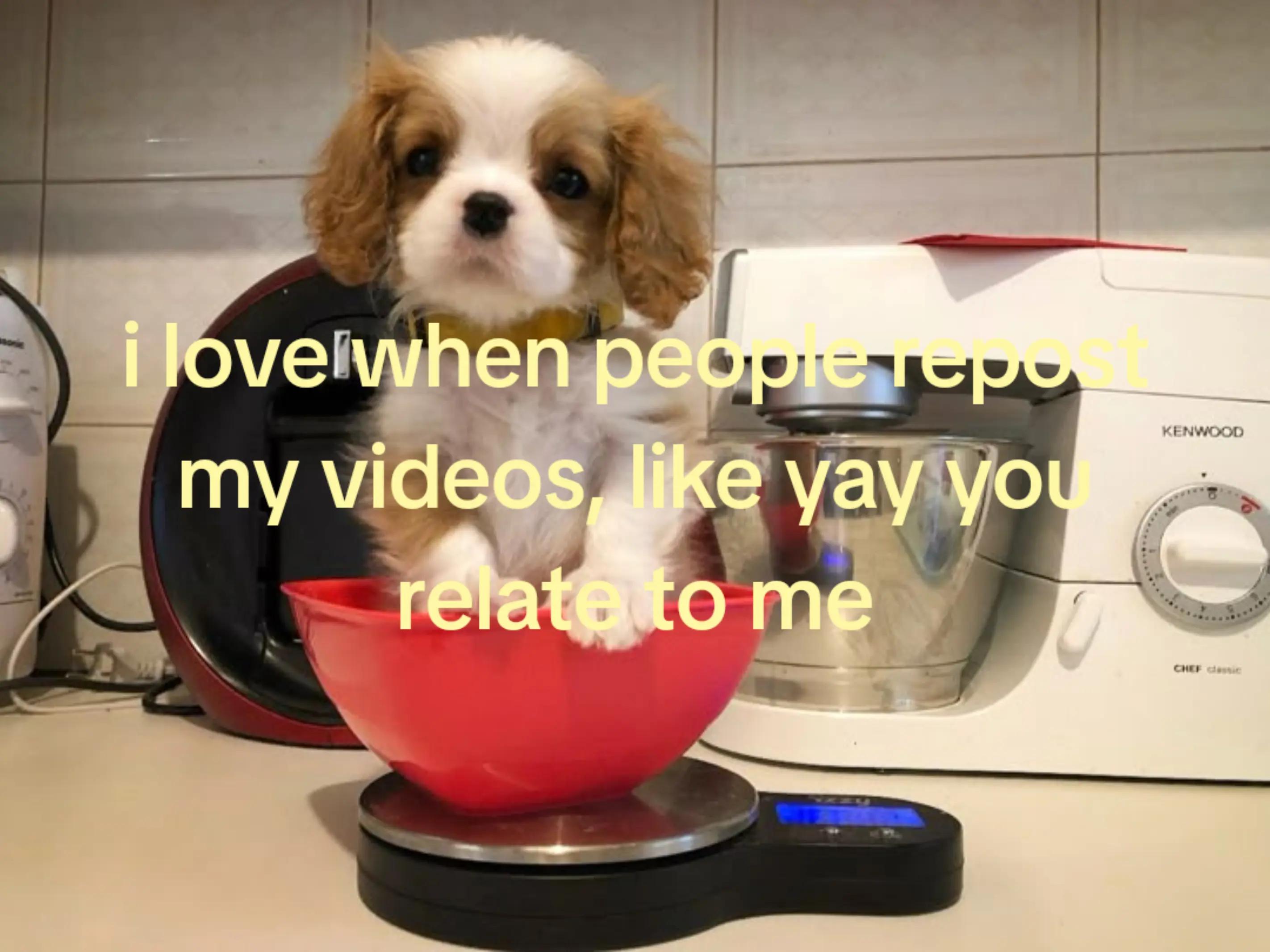 @੭ᰍ . sօբíα ᘎ . 🪽