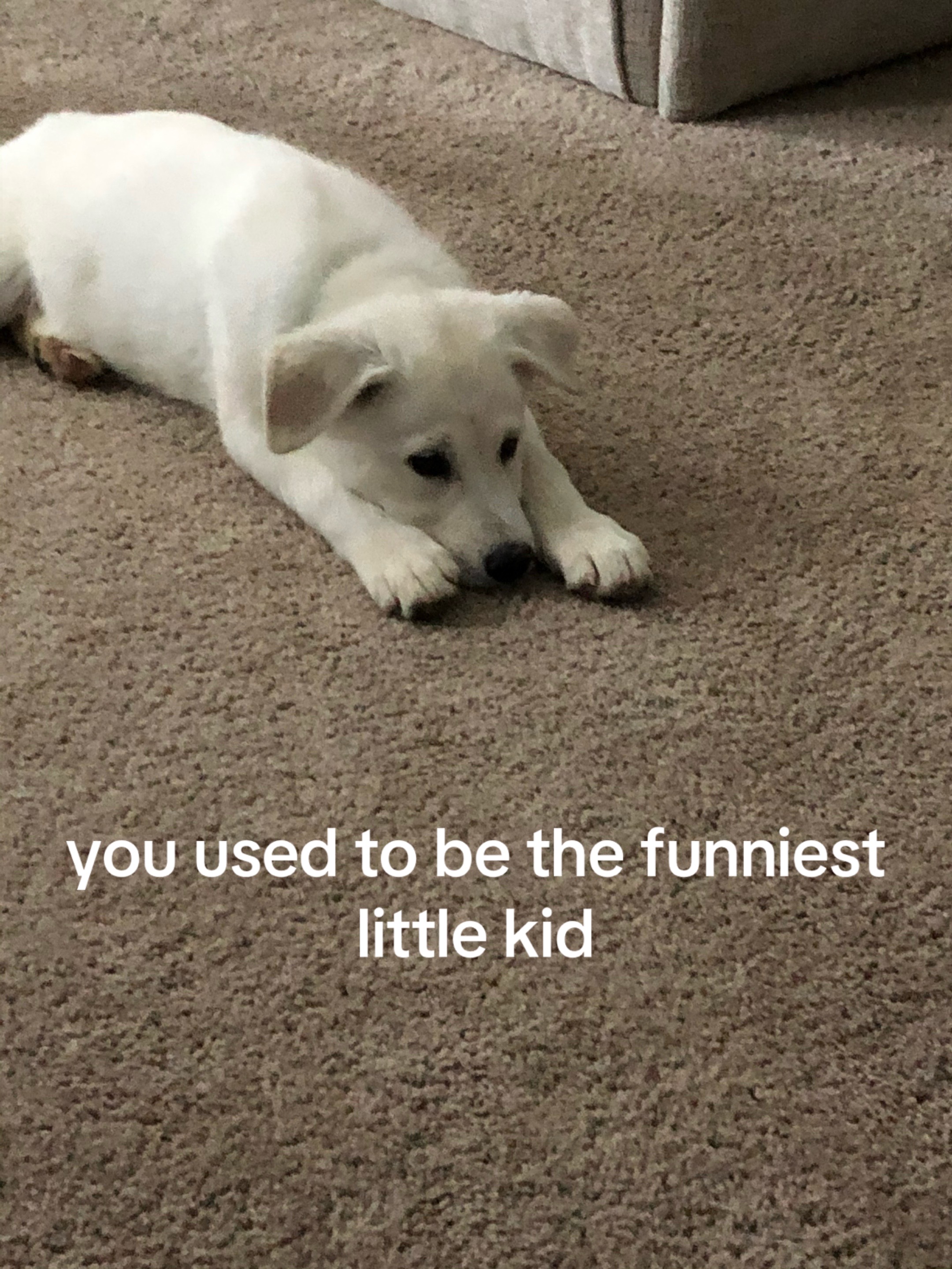 @Fartabob