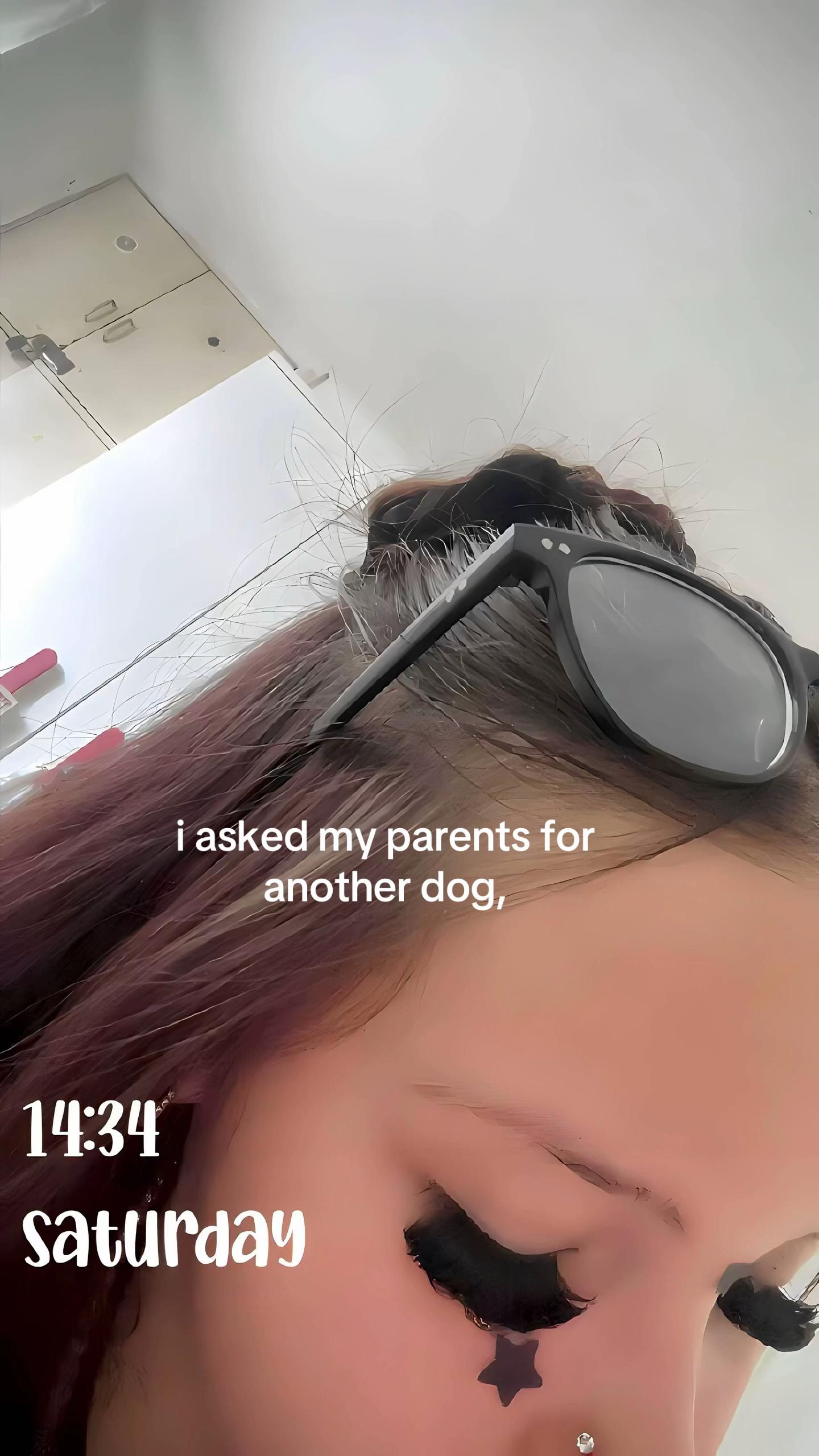 @eliza