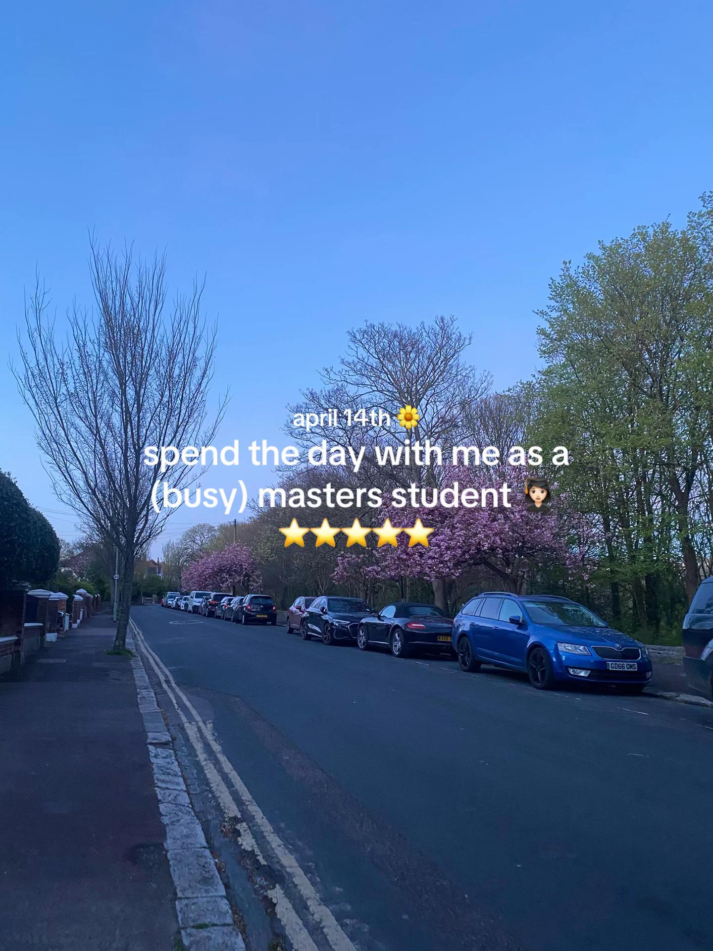 @maria 🐞
