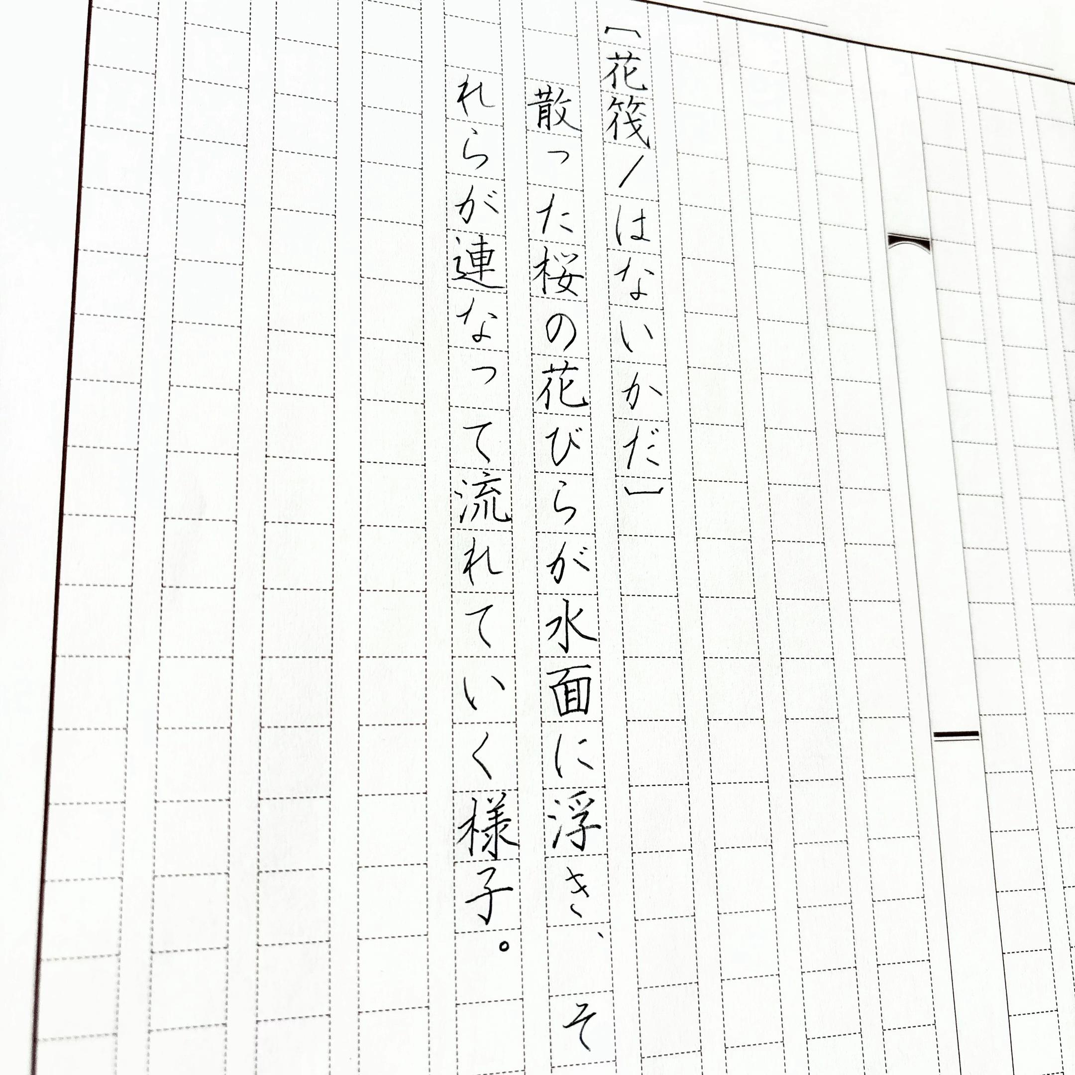 @茉 莉