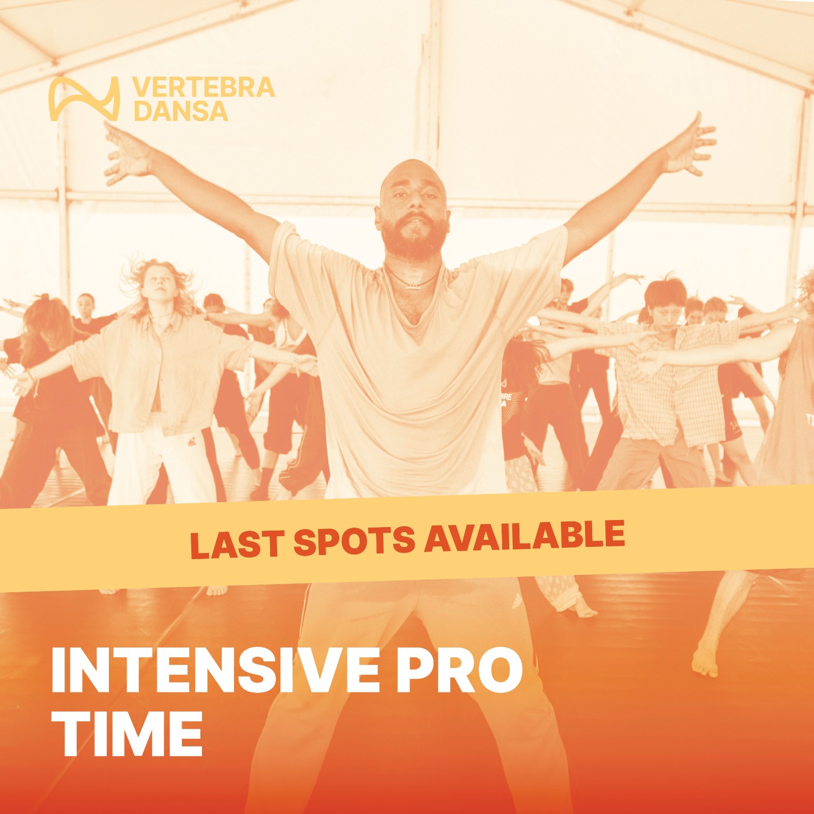 @Vertebra Dansa
