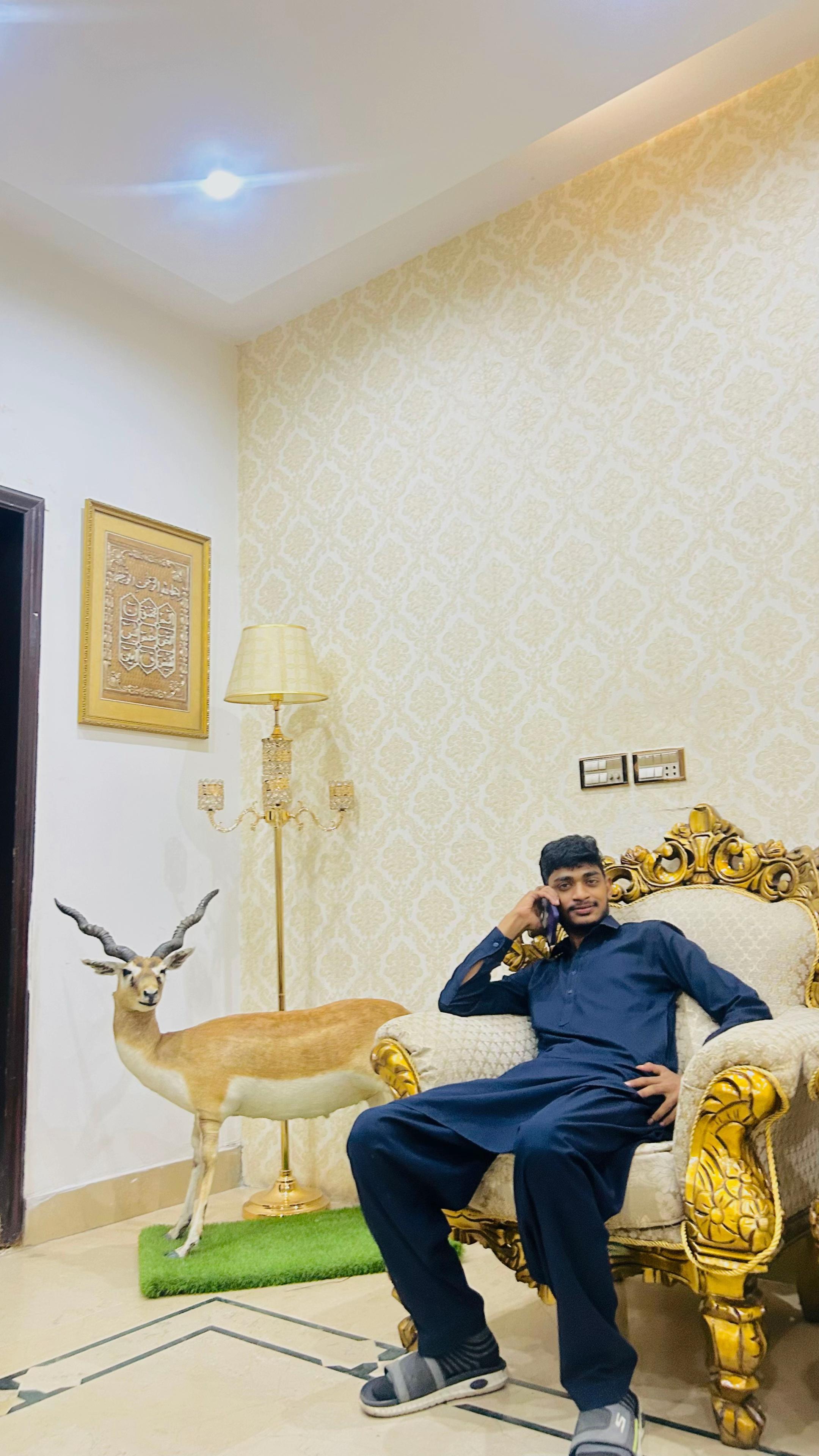 @Hassnain Rajpoot