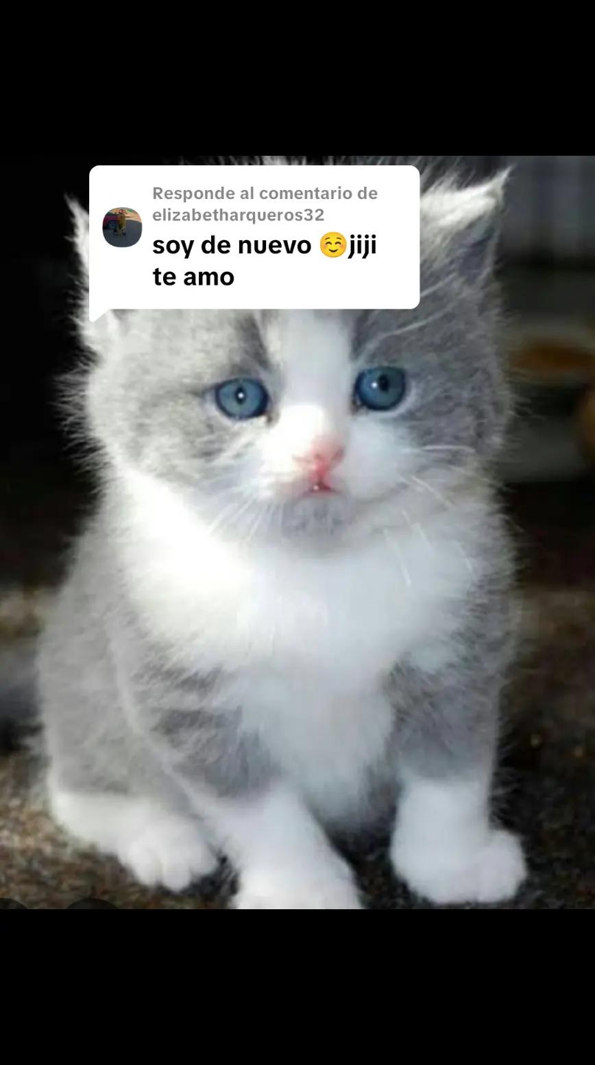 @Ruth Pillaca Hinostroza