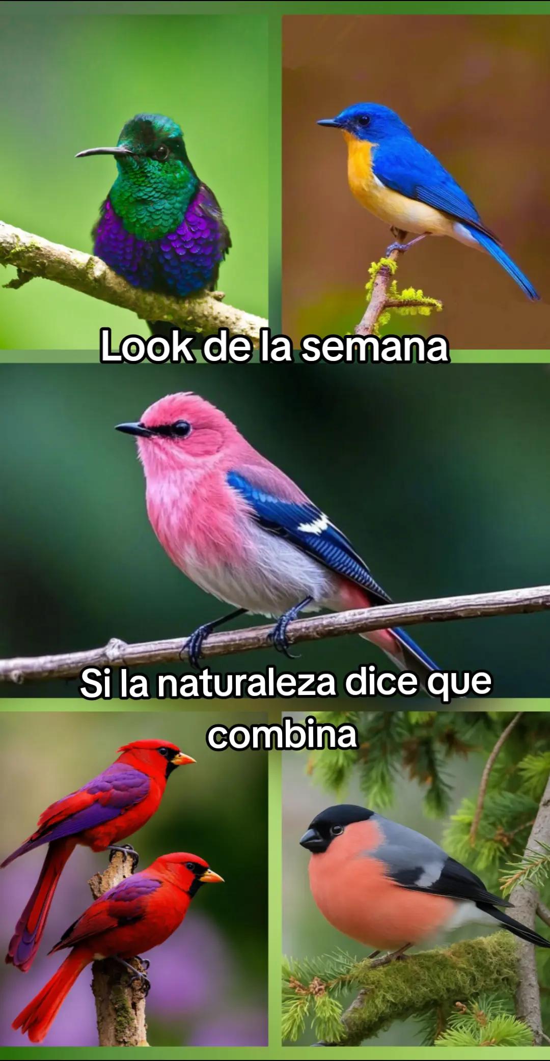 @Génesis Soledispa.C