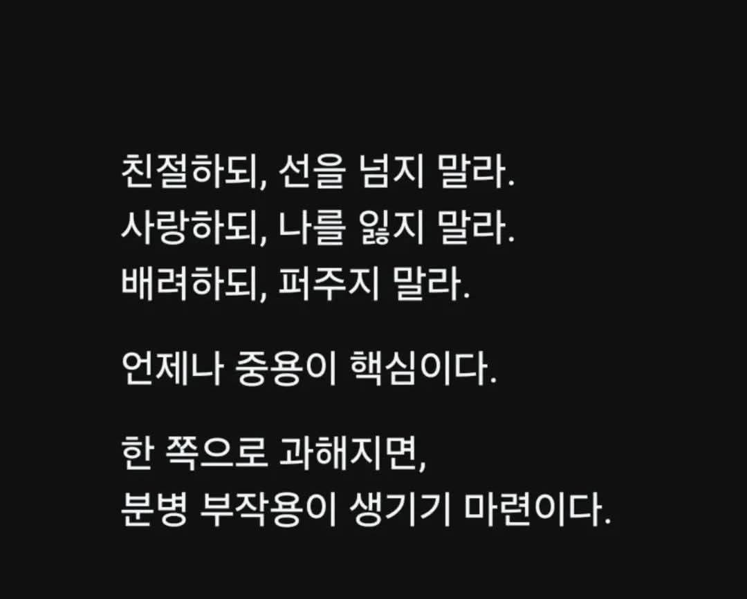 @@냥이글
