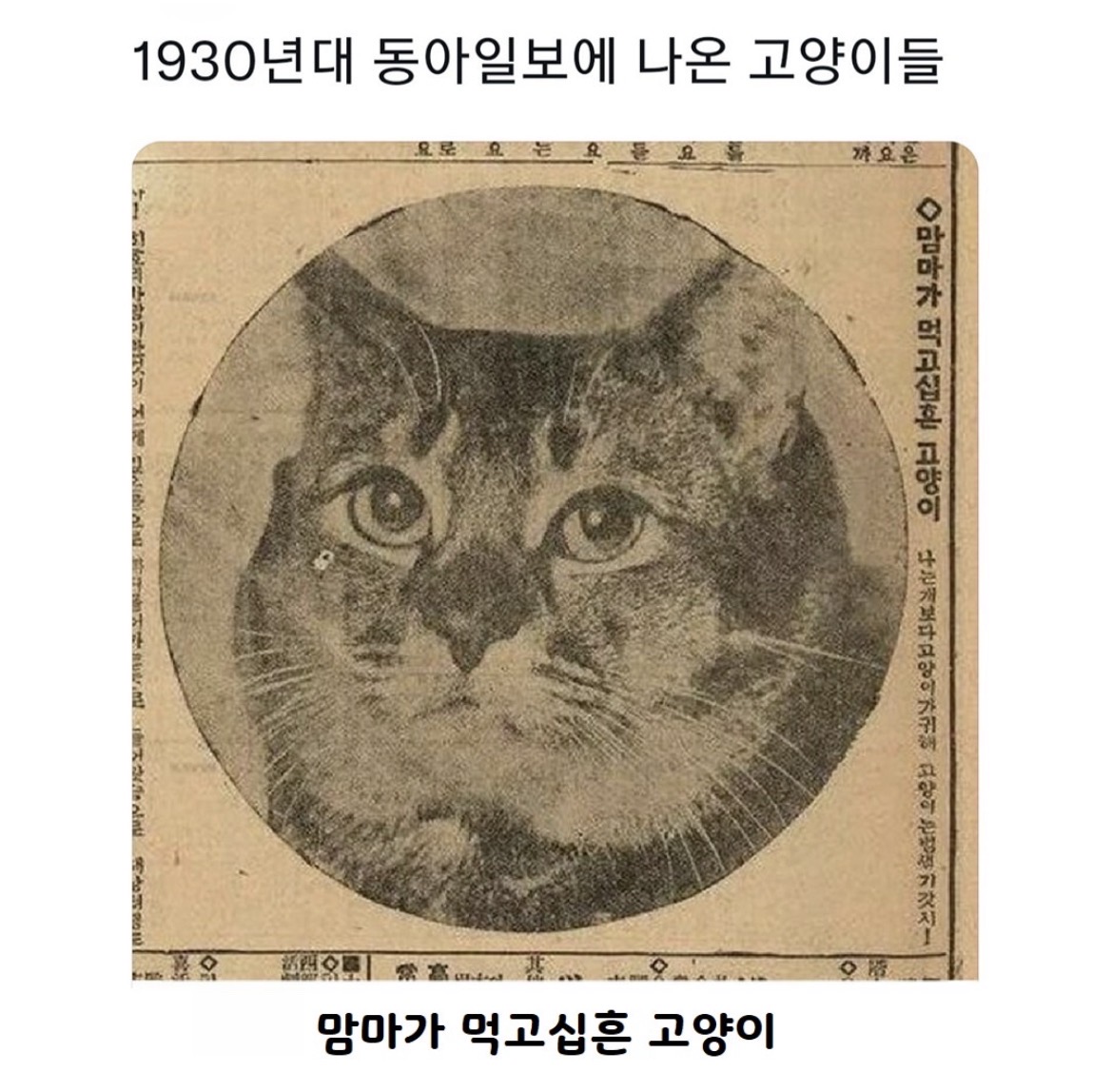 @로이젤
