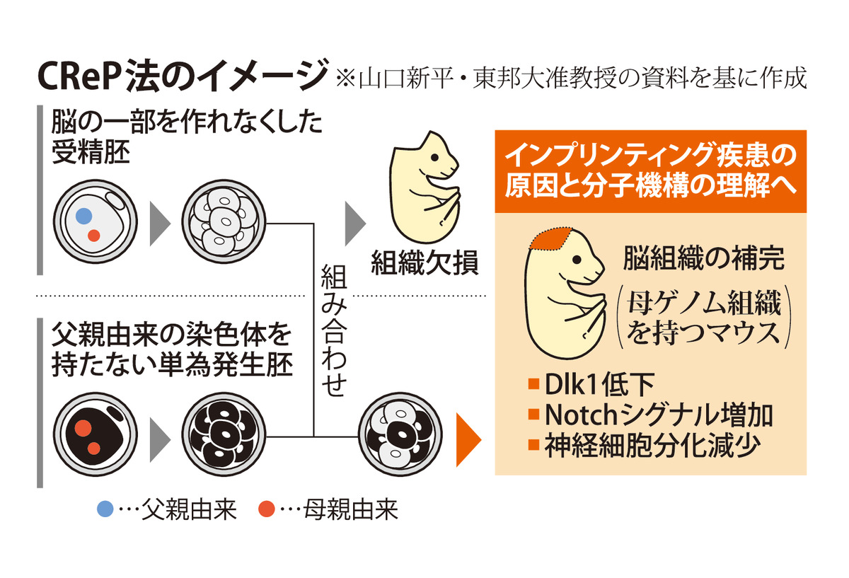 @毎日新聞