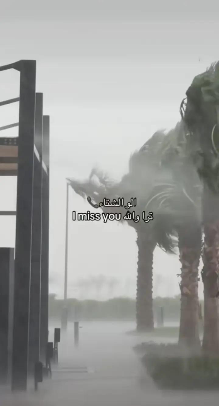 @๐M๐จ๐ต๐จ๐ณ๐