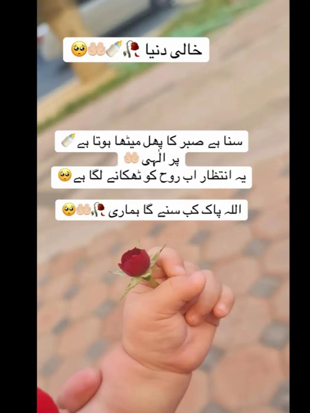@bint.e.haseeb5