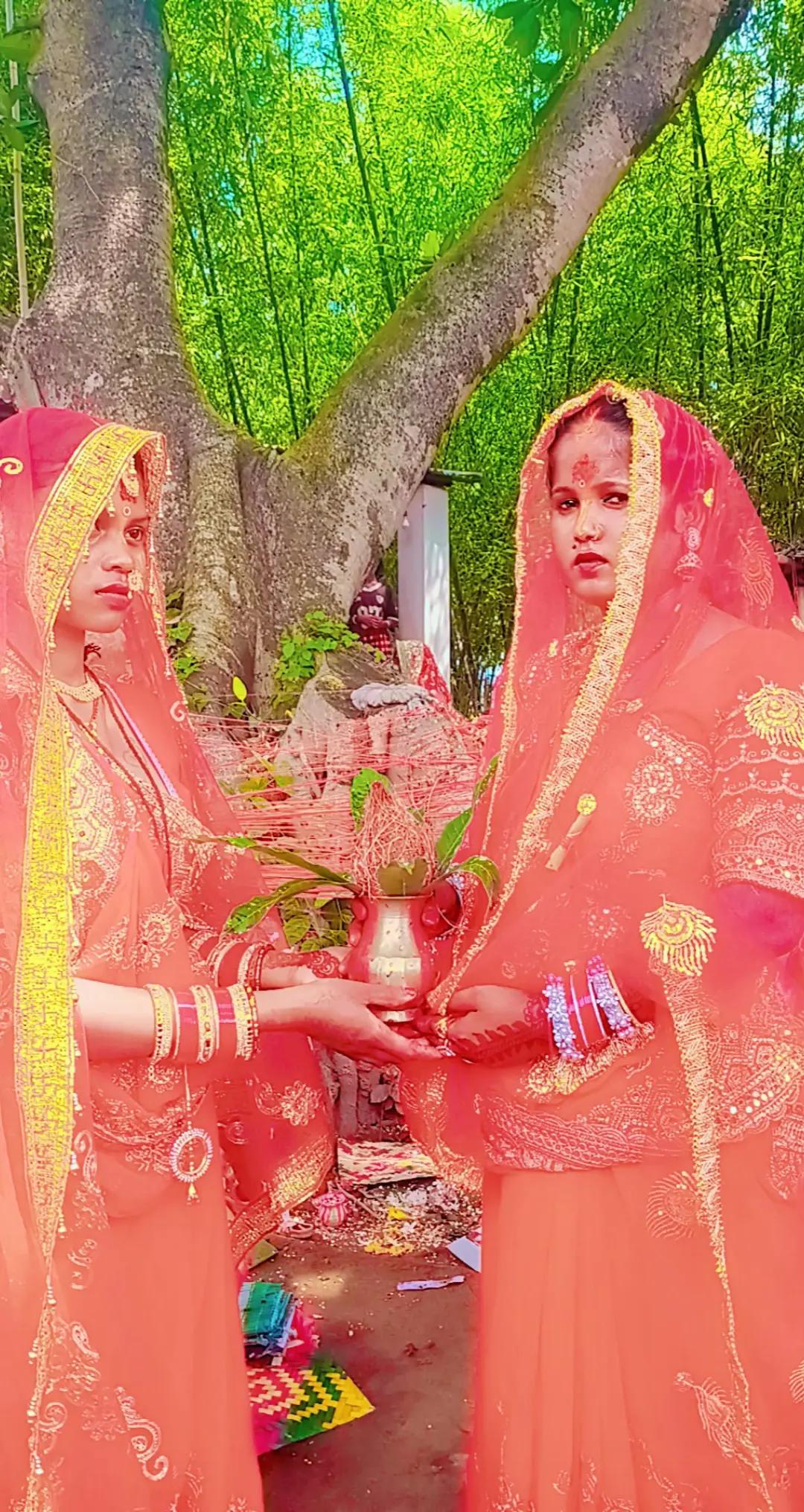 @Chudasama gudhi