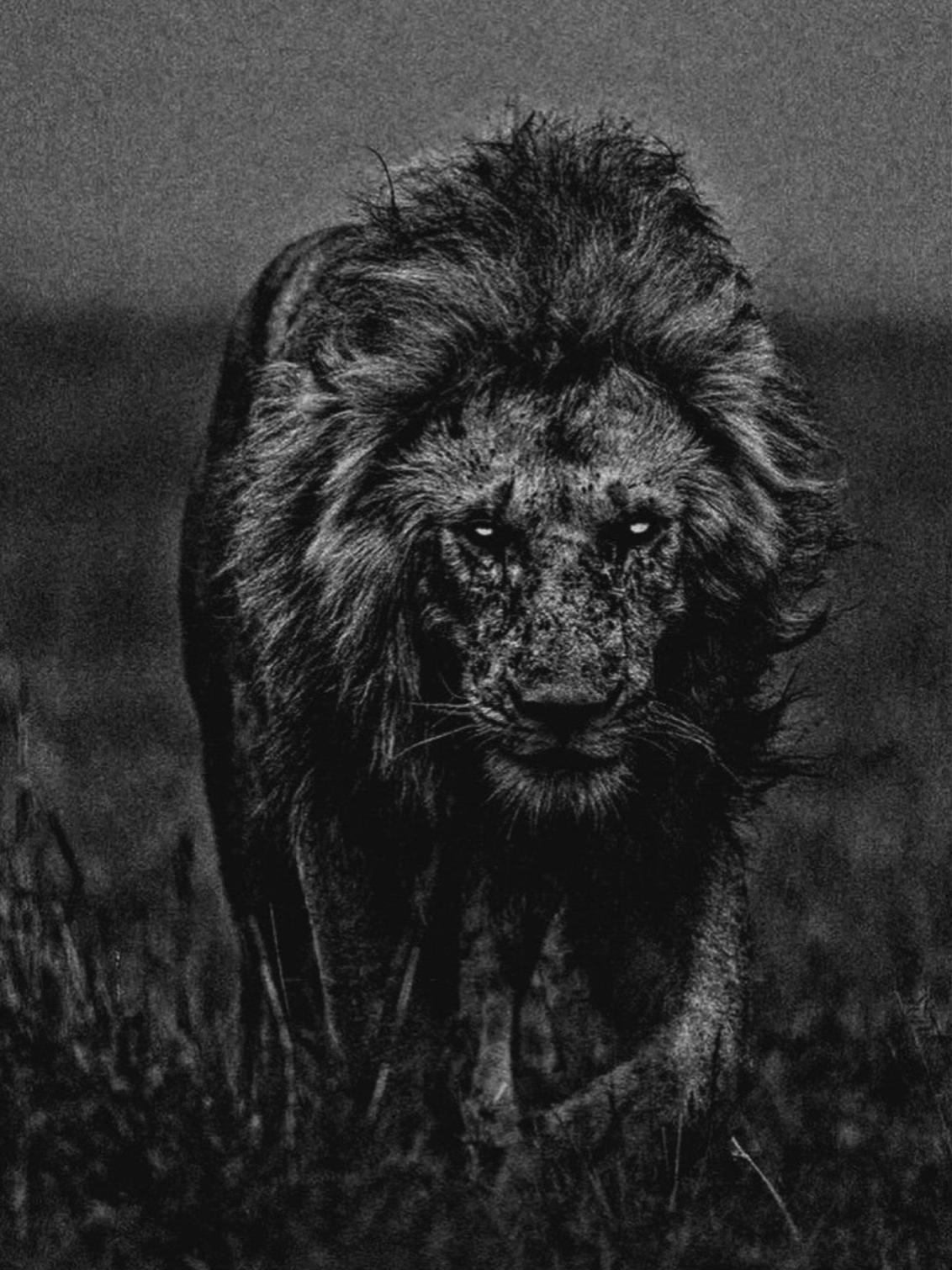 @☠️𝐀𝐓𝐄𝐒̧☠️