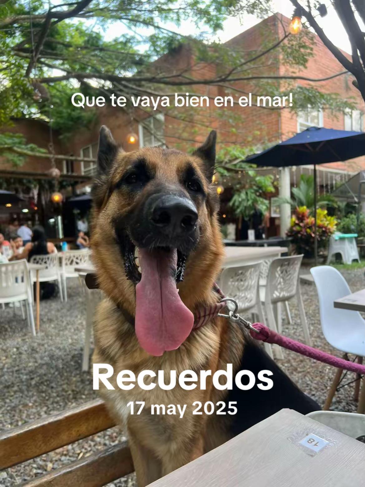 @Yan