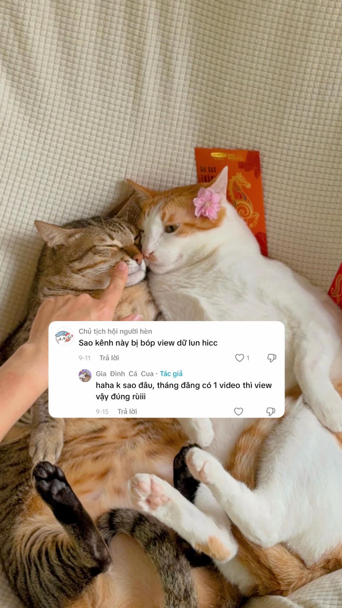 @Gia Đình Cá Cua