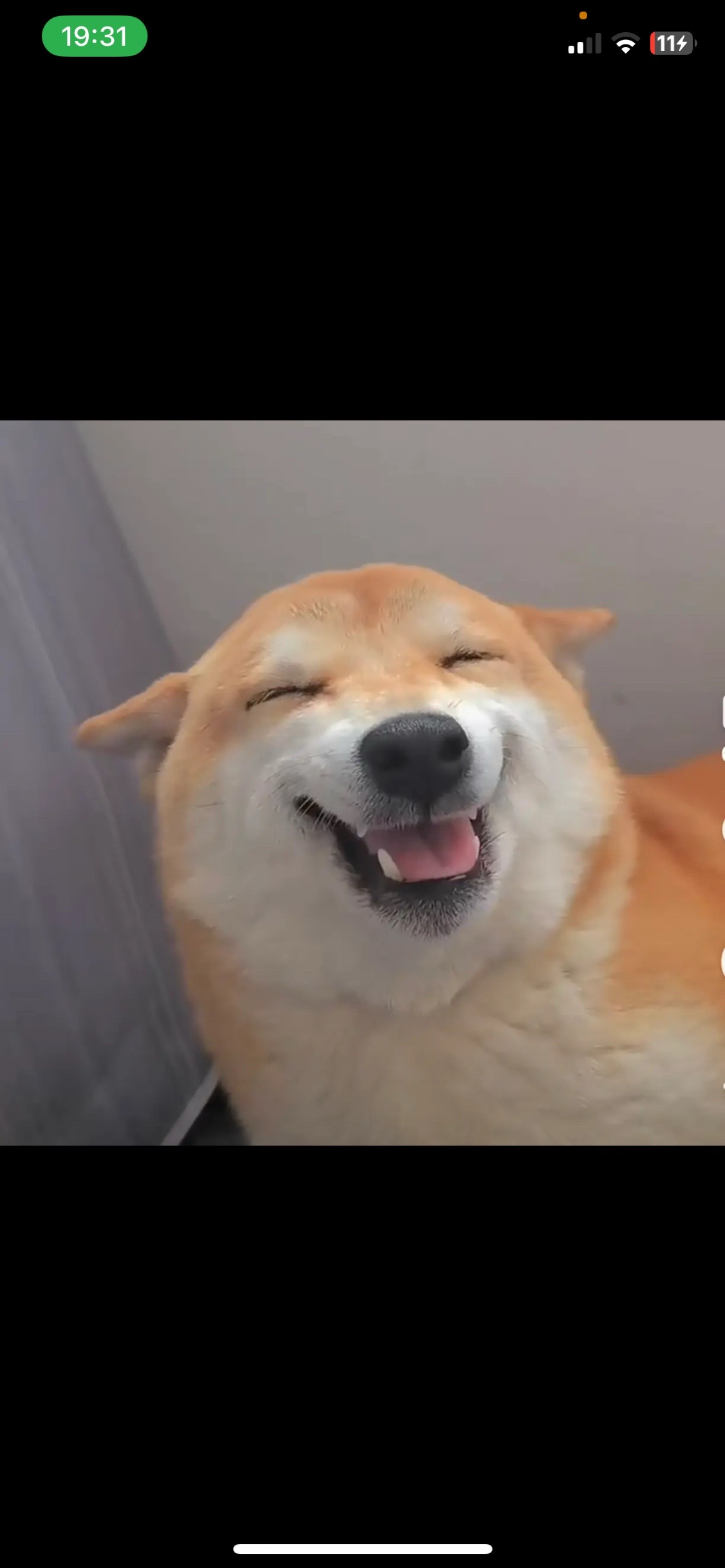 @海苔
