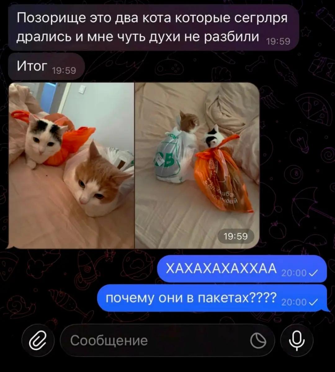 @Киря