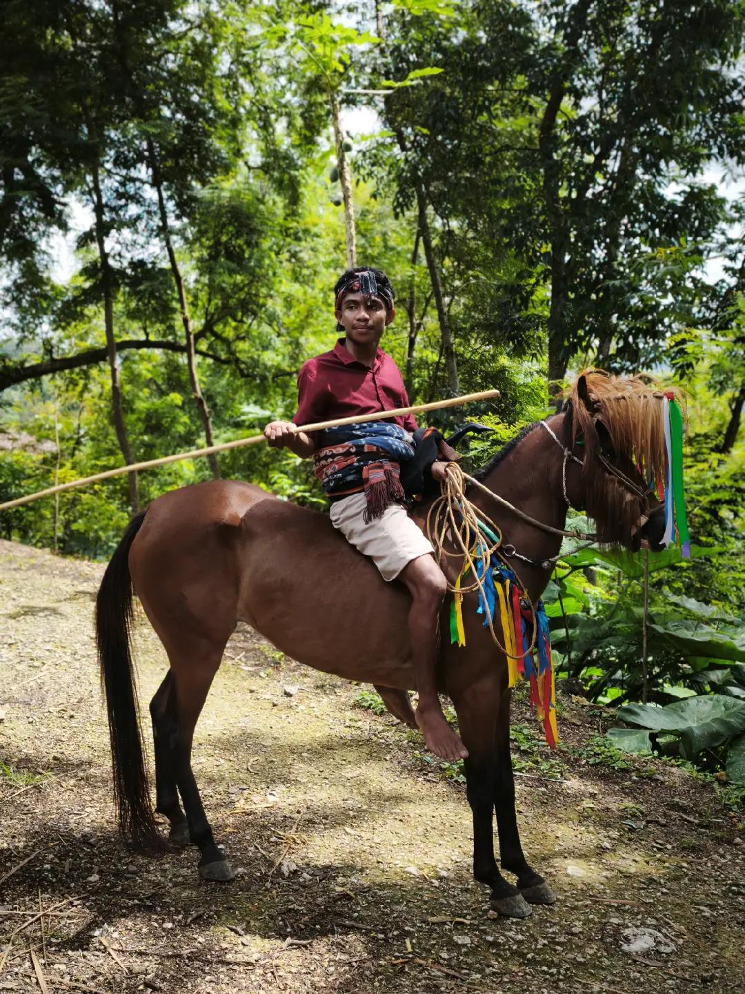 @Wonders Of sumba