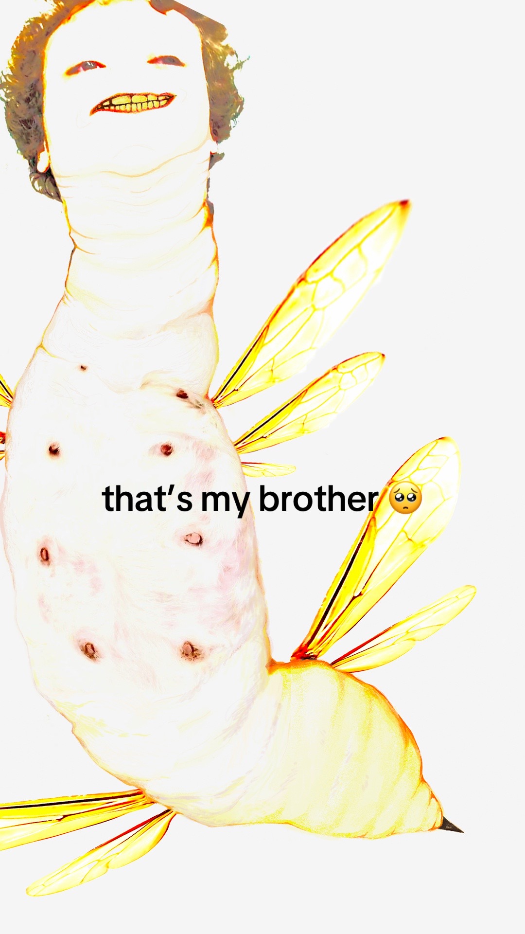 @trimothee
