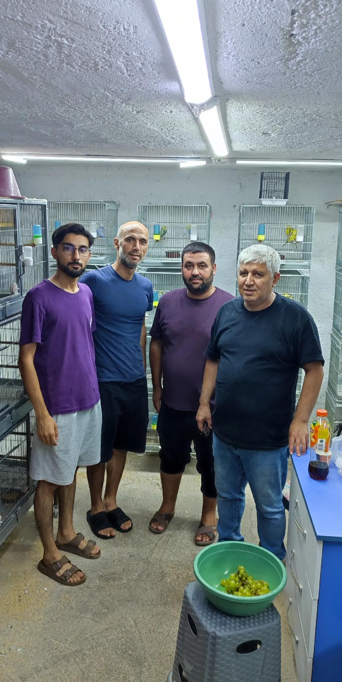 @MURAT ADIGÜZEL