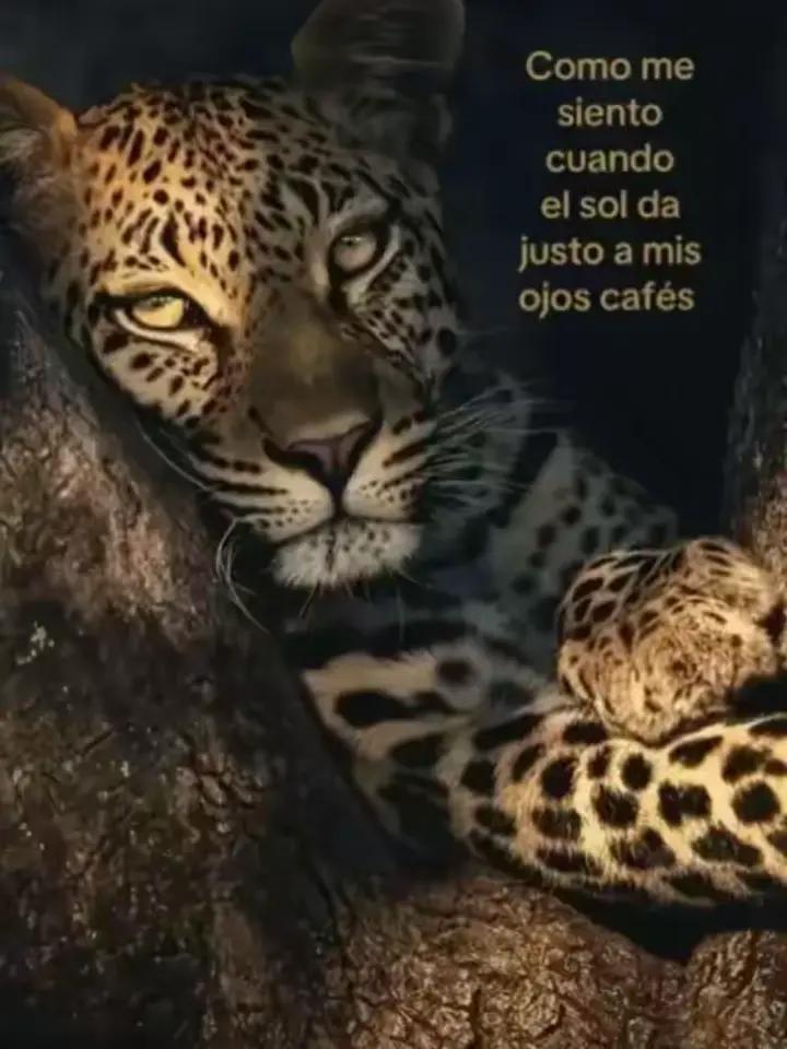 @𝔍𝔬𝔢𝔩𝔶𝔰🤍🧃