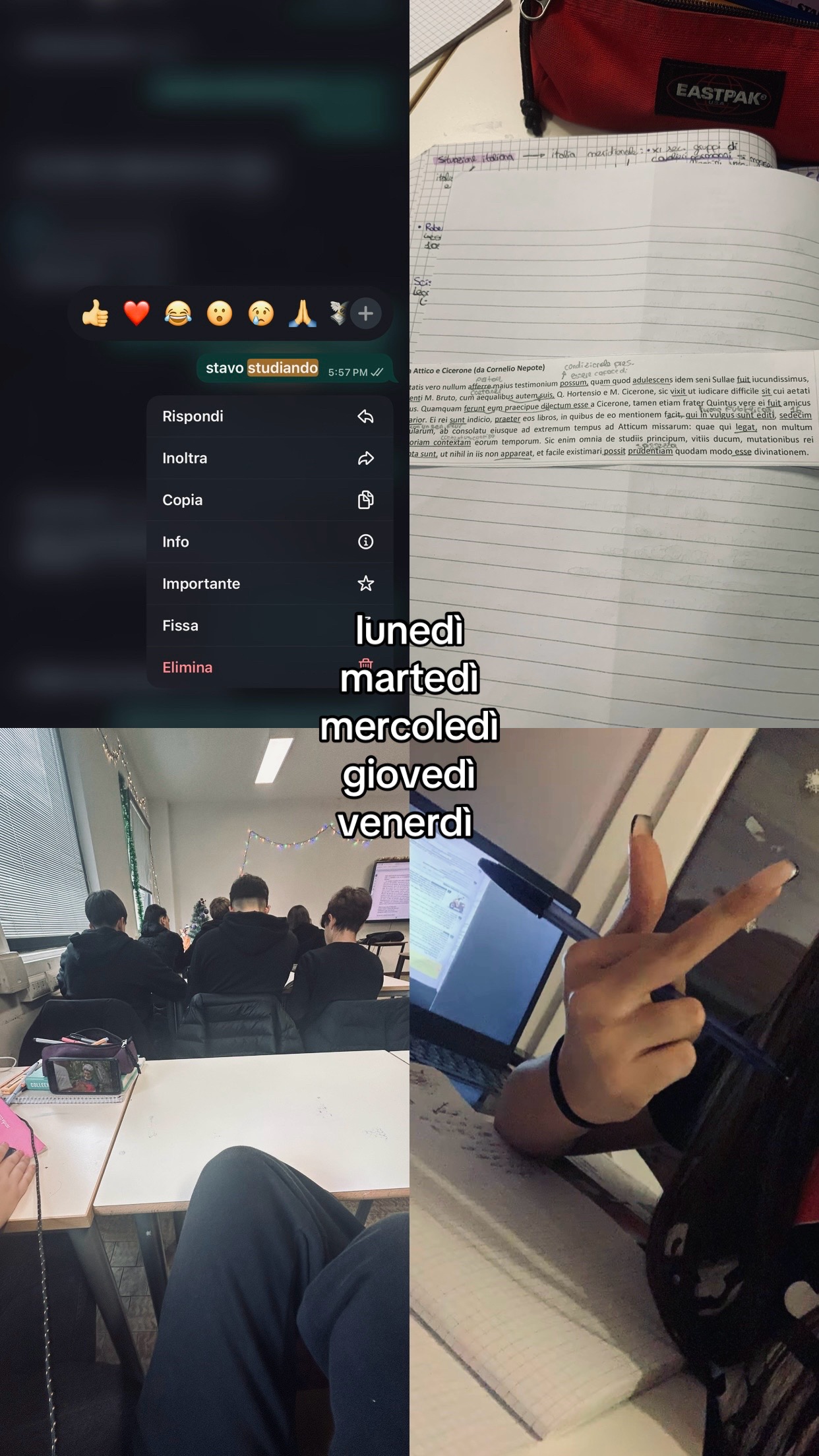 @๐ธ๐ฝ๐พ๐ถ๐๐ถ²