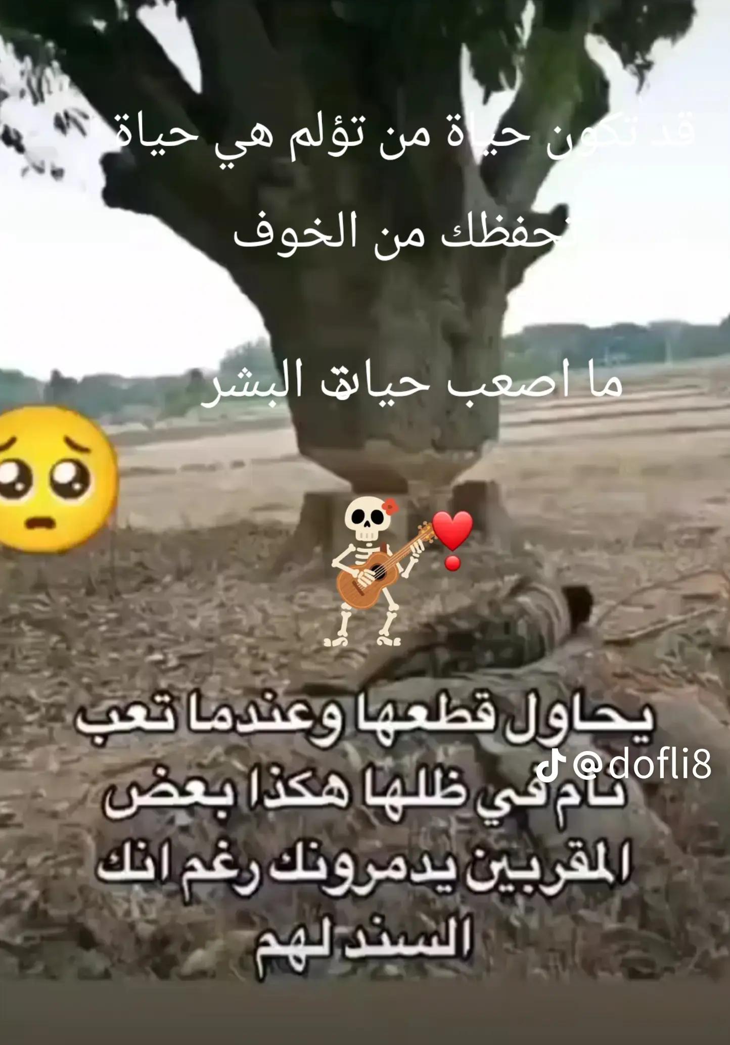 @🧚♂️MOON🌙LIGHT🧚♀️