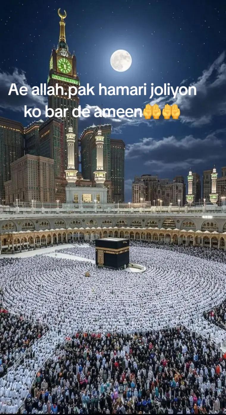 @Tania Raja