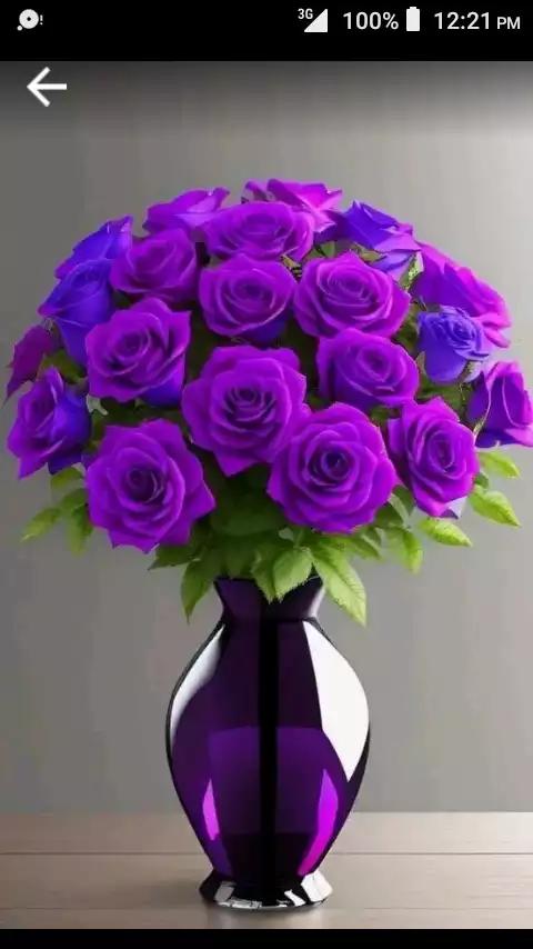 @mamme.