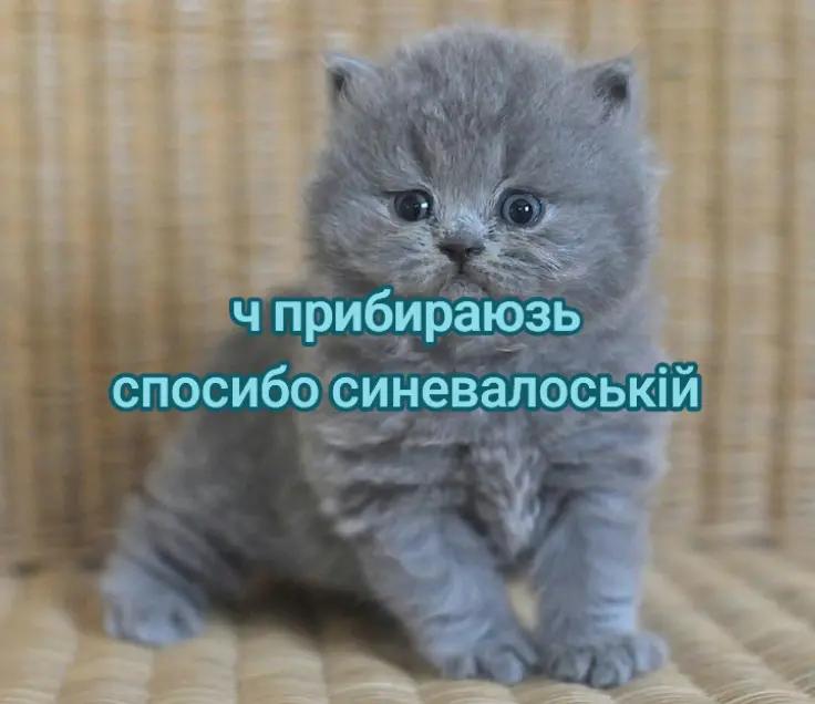 @головка 😹😹