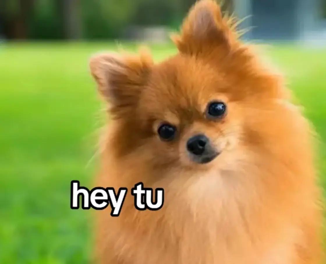 @alessio cassano
