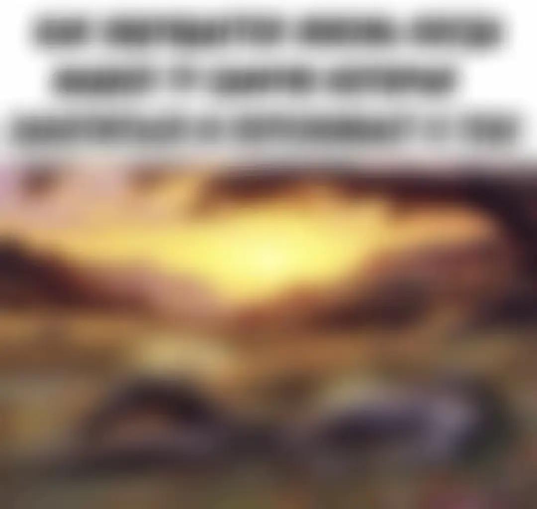 @xomessp