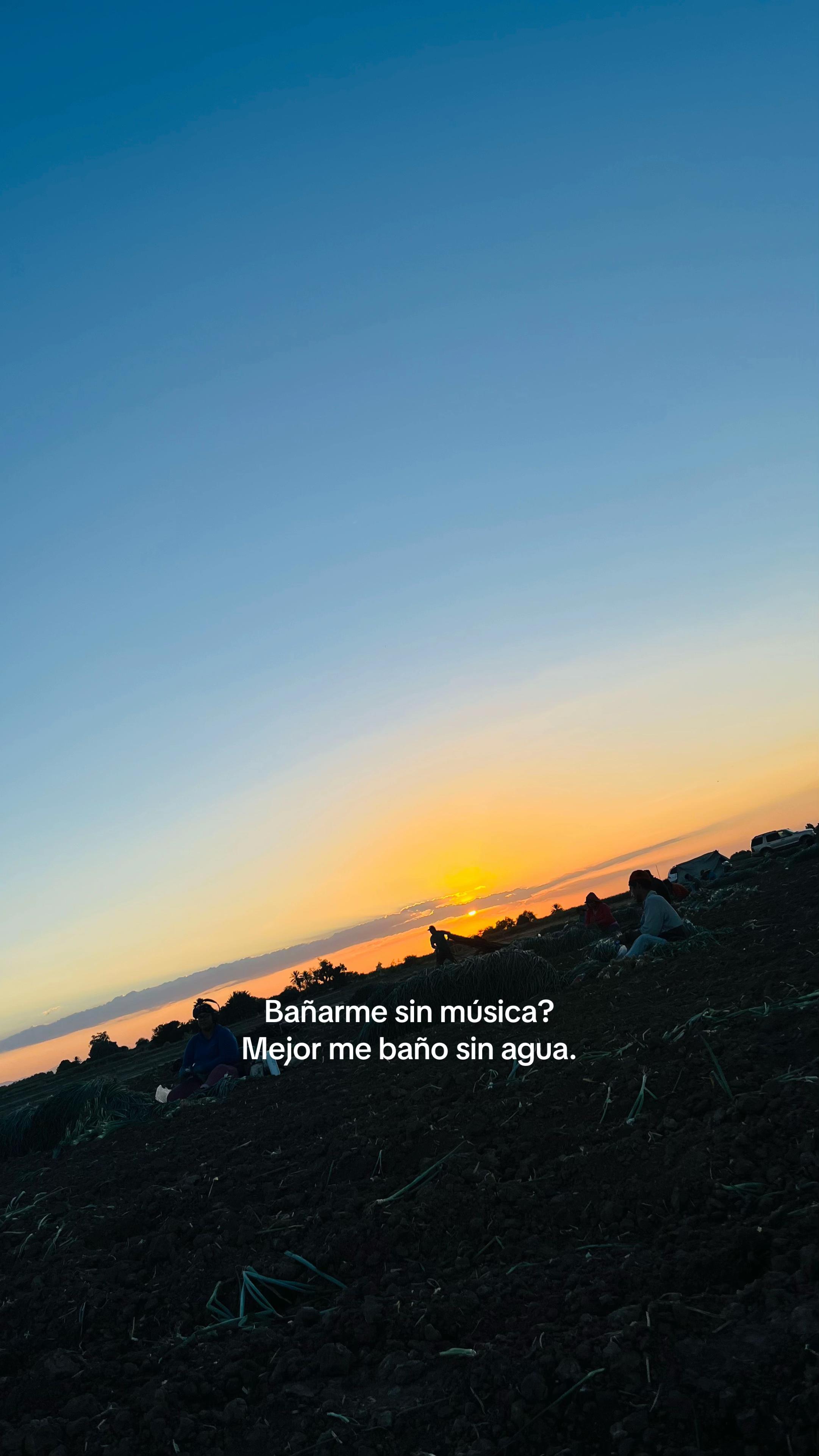 @marcotzsx