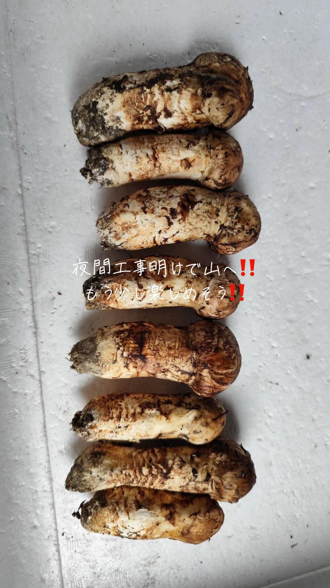 @デブデブ船長