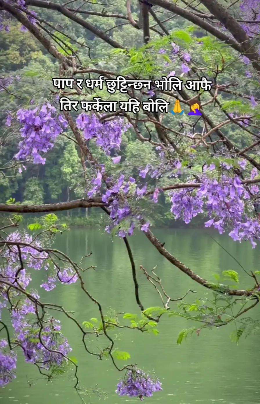 @Anju Chhetri
