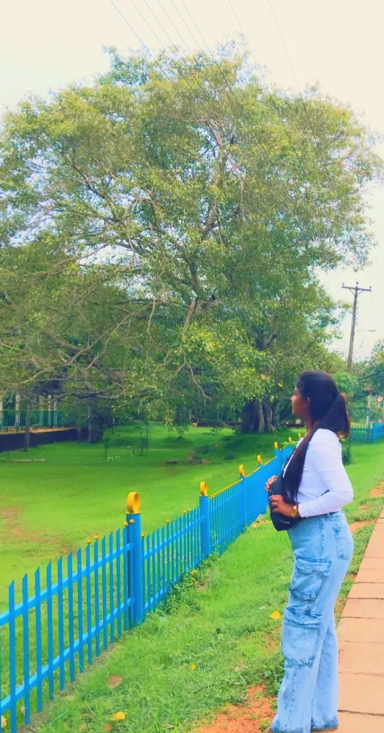 @chala 🌸