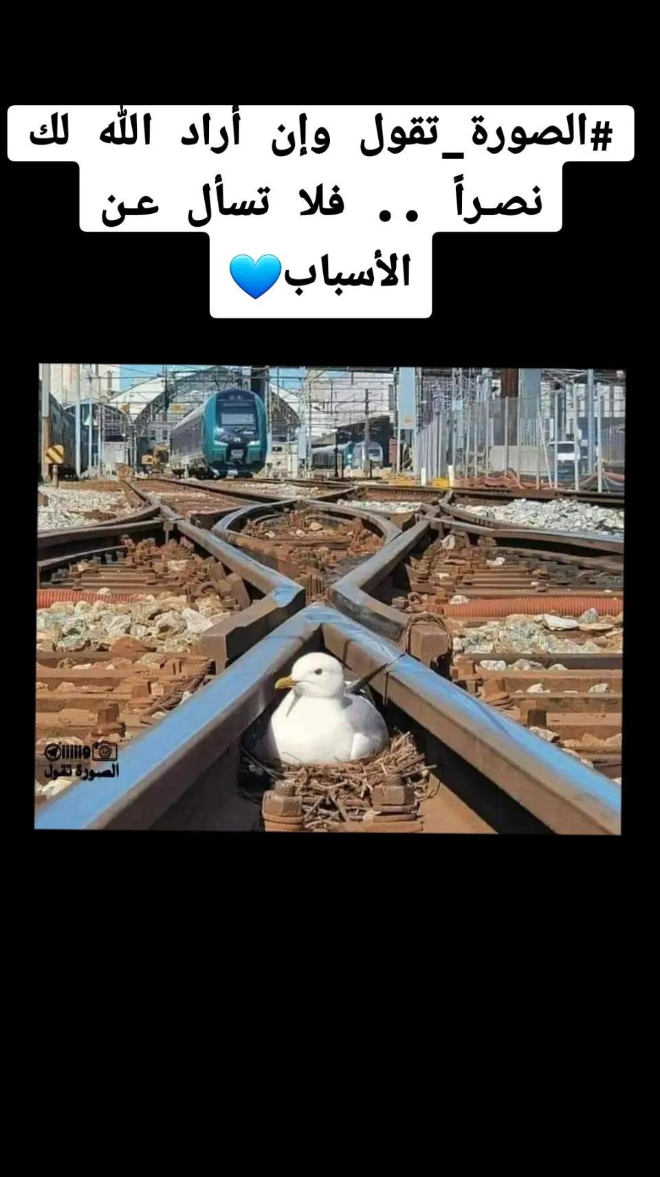 @Eng.Mustafa