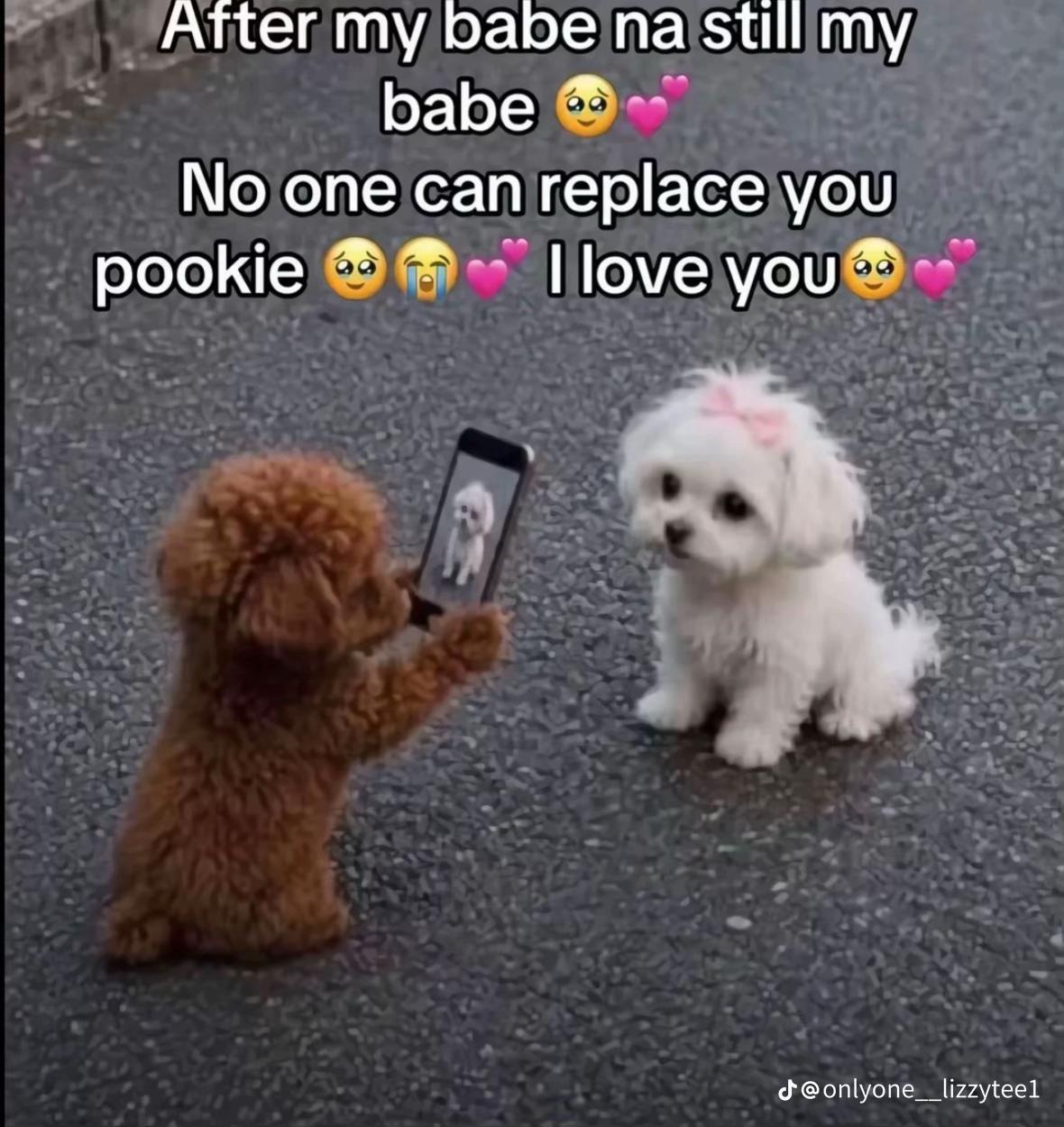 @ellelotto1